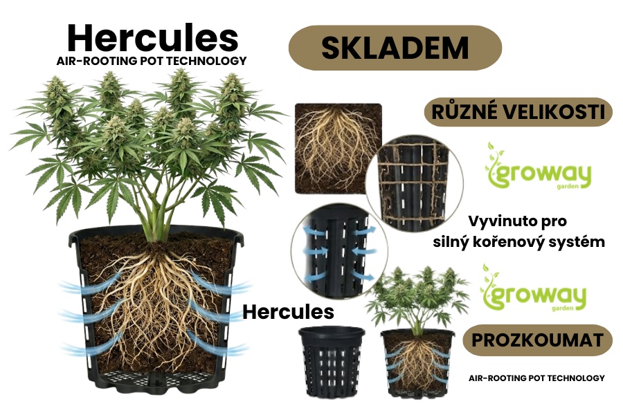Vsaď na Hercules květináč!