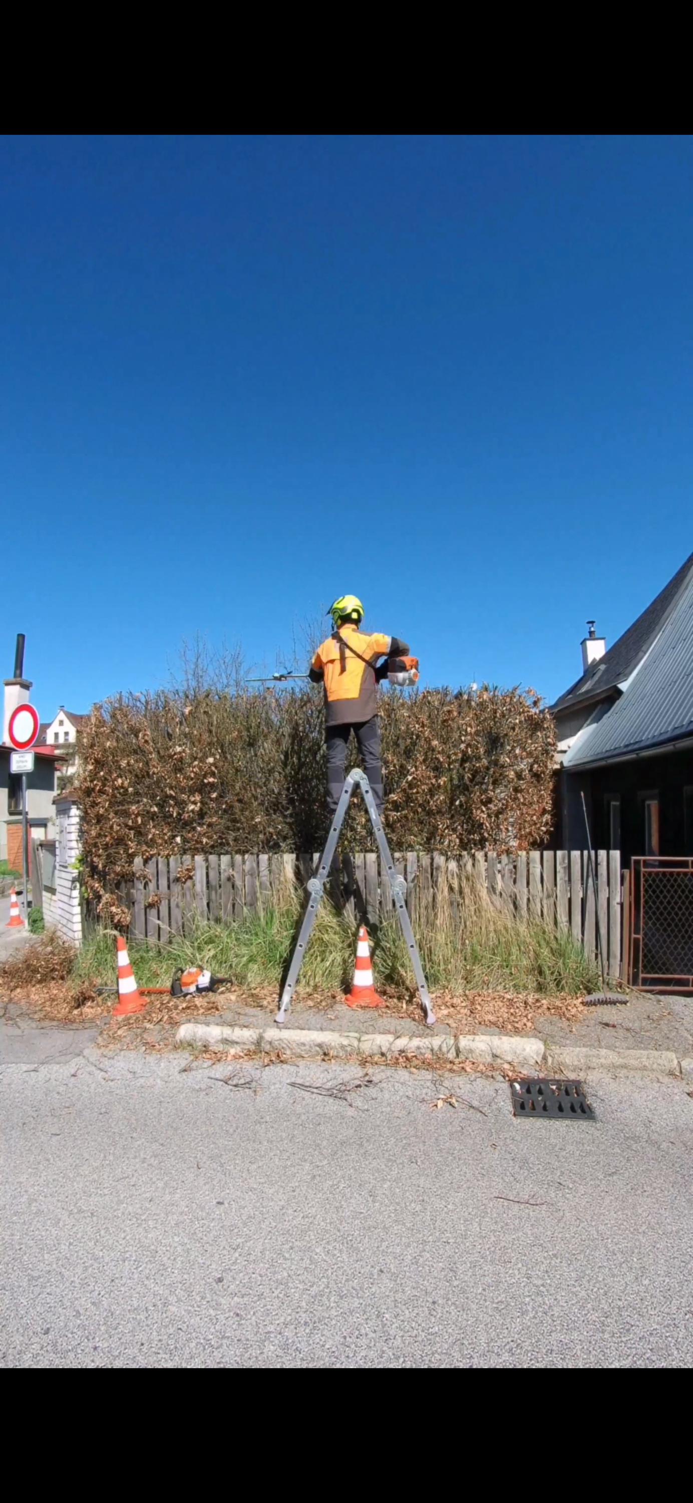 Zeleň Liberec foto 6