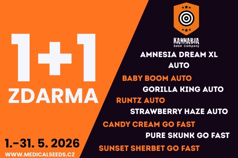 1+1 ZDARMA