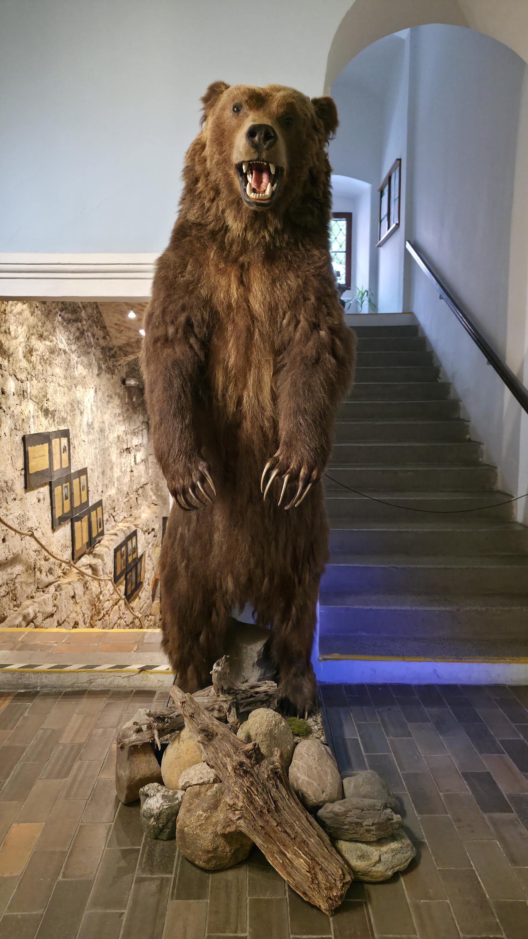 Vlastivědné muzeum a galerie v České Lípě foto 5
