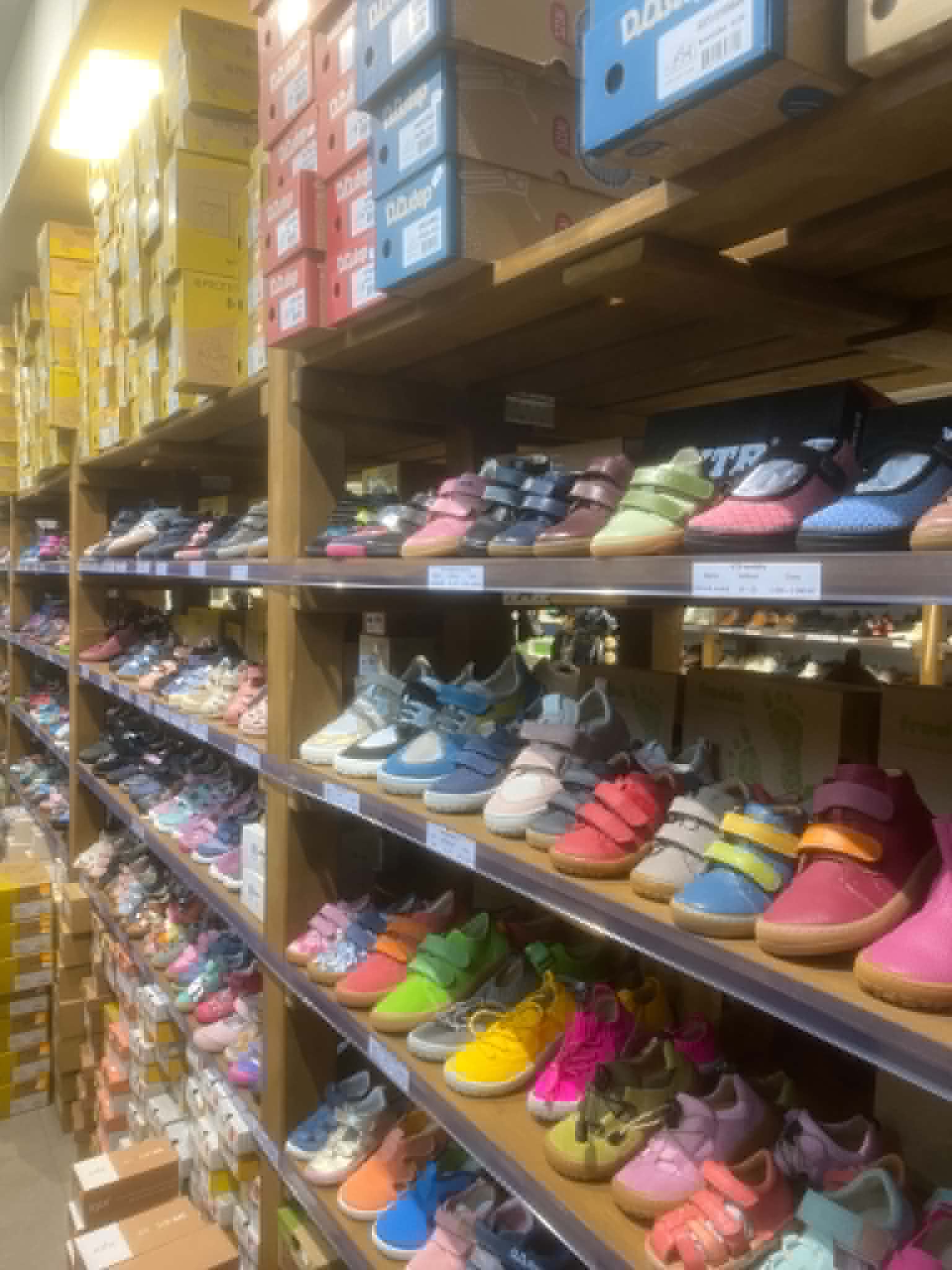 Reharmonshop.cz foto 4