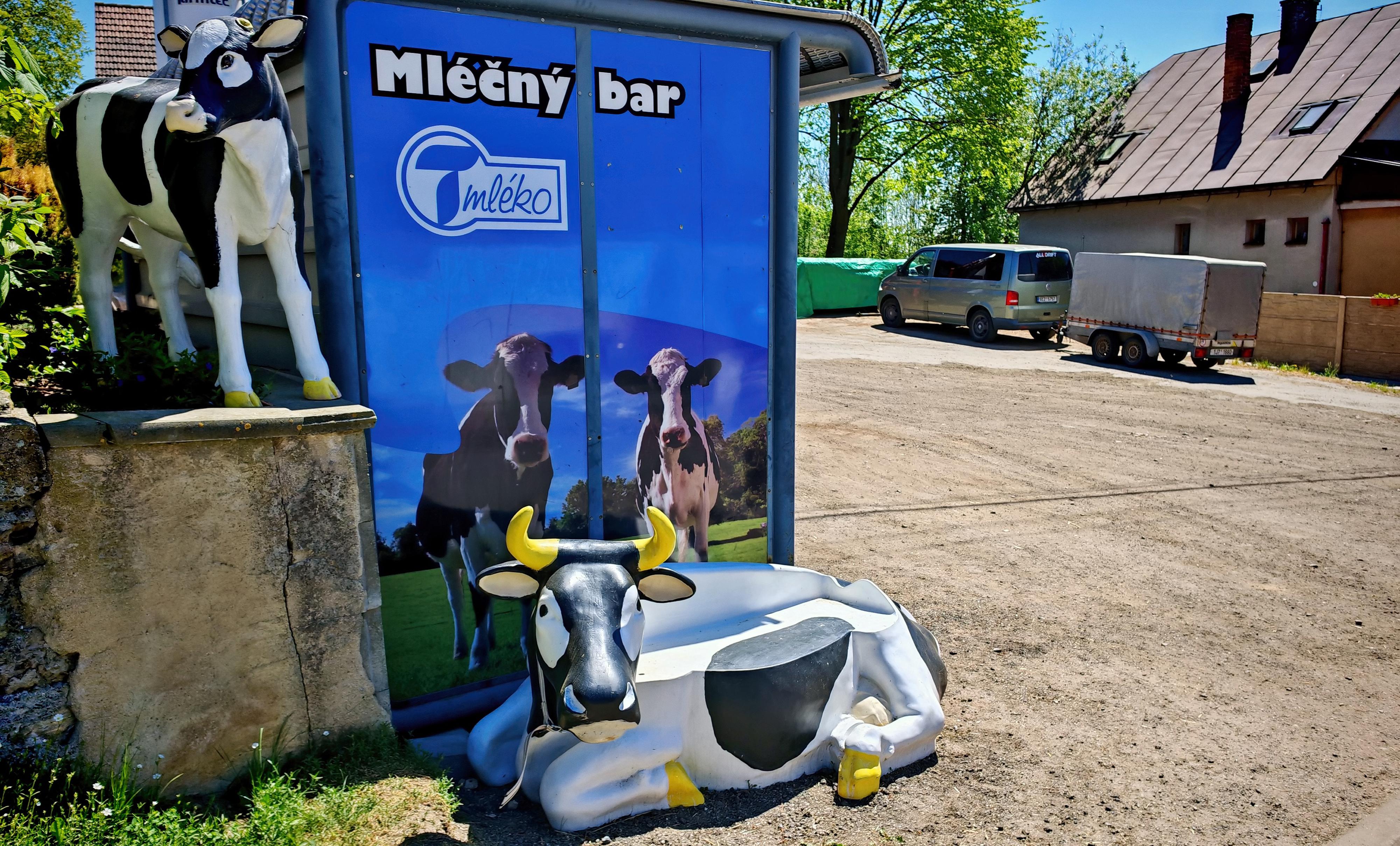 Mléčný bar Zubří foto 3