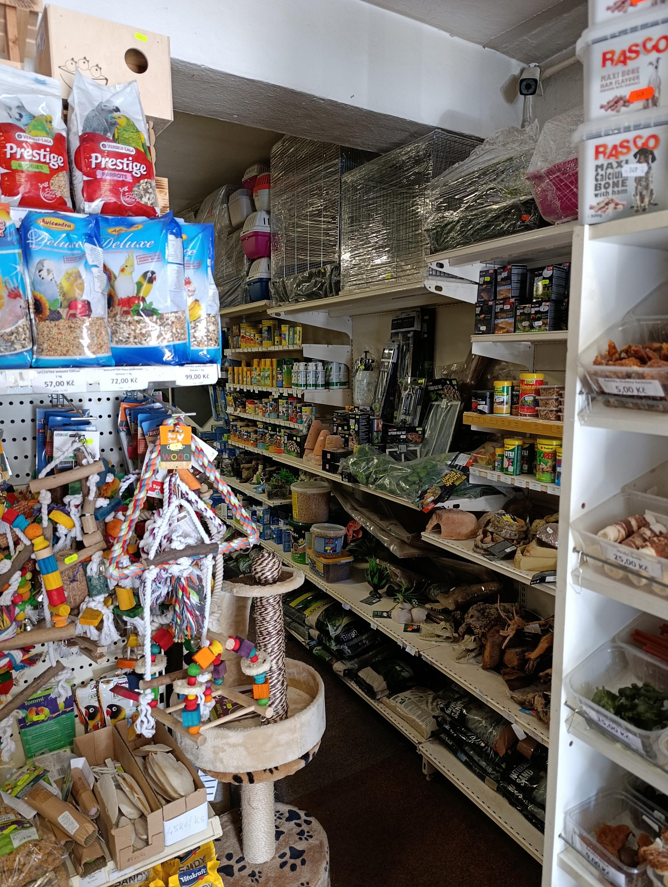 FISH ROOM foto 4