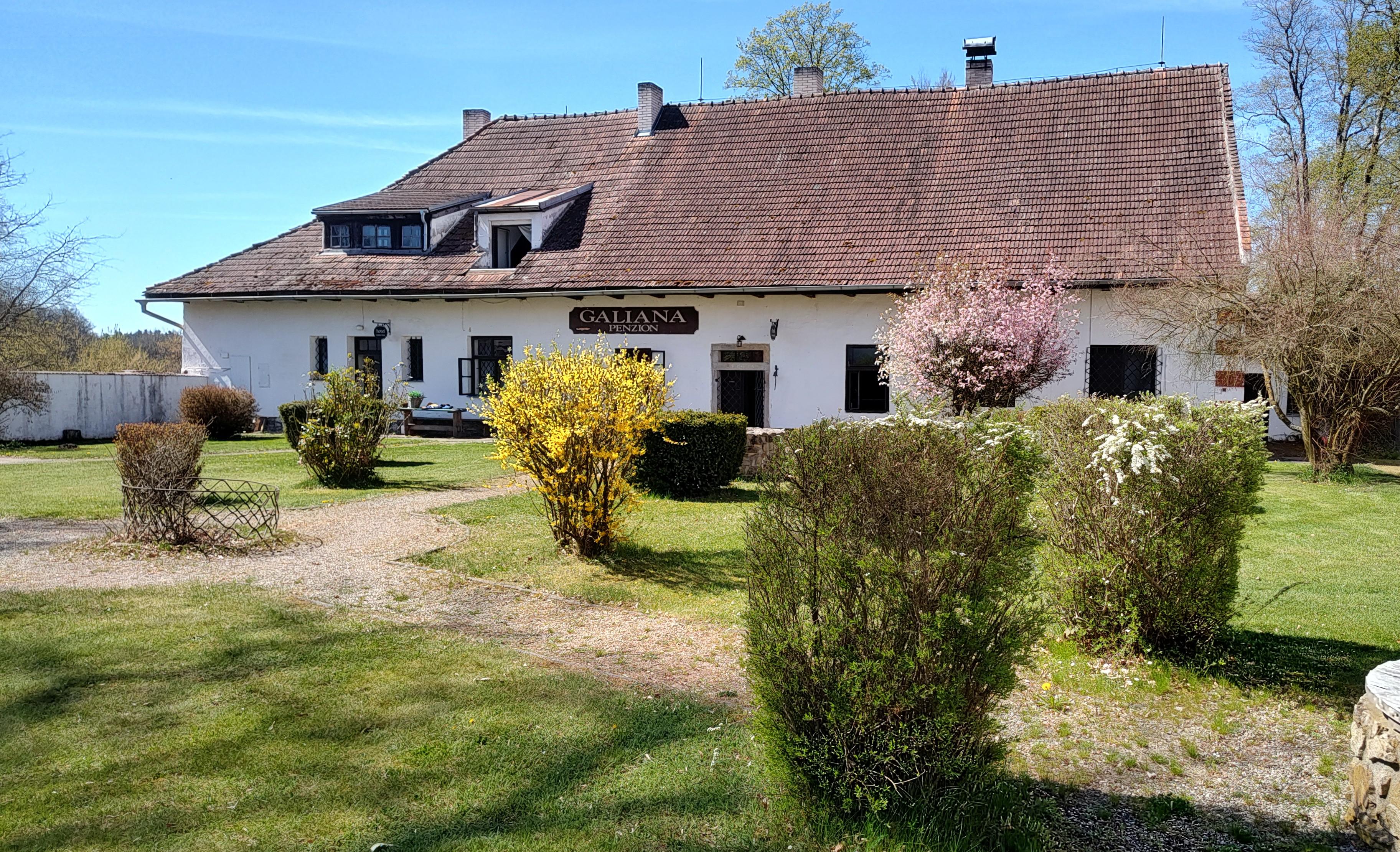 Bistro Galiana foto 6