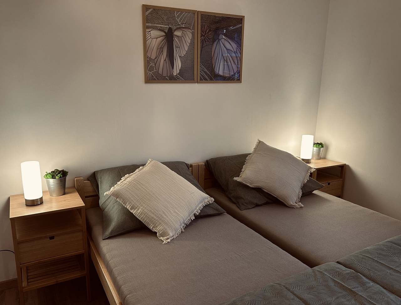 Mechový apartmán Krásná Lípa foto 5