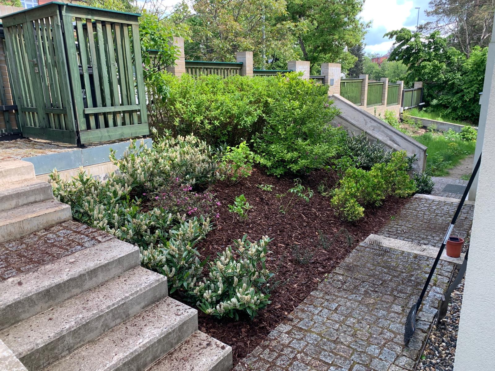 Mt garden foto 2