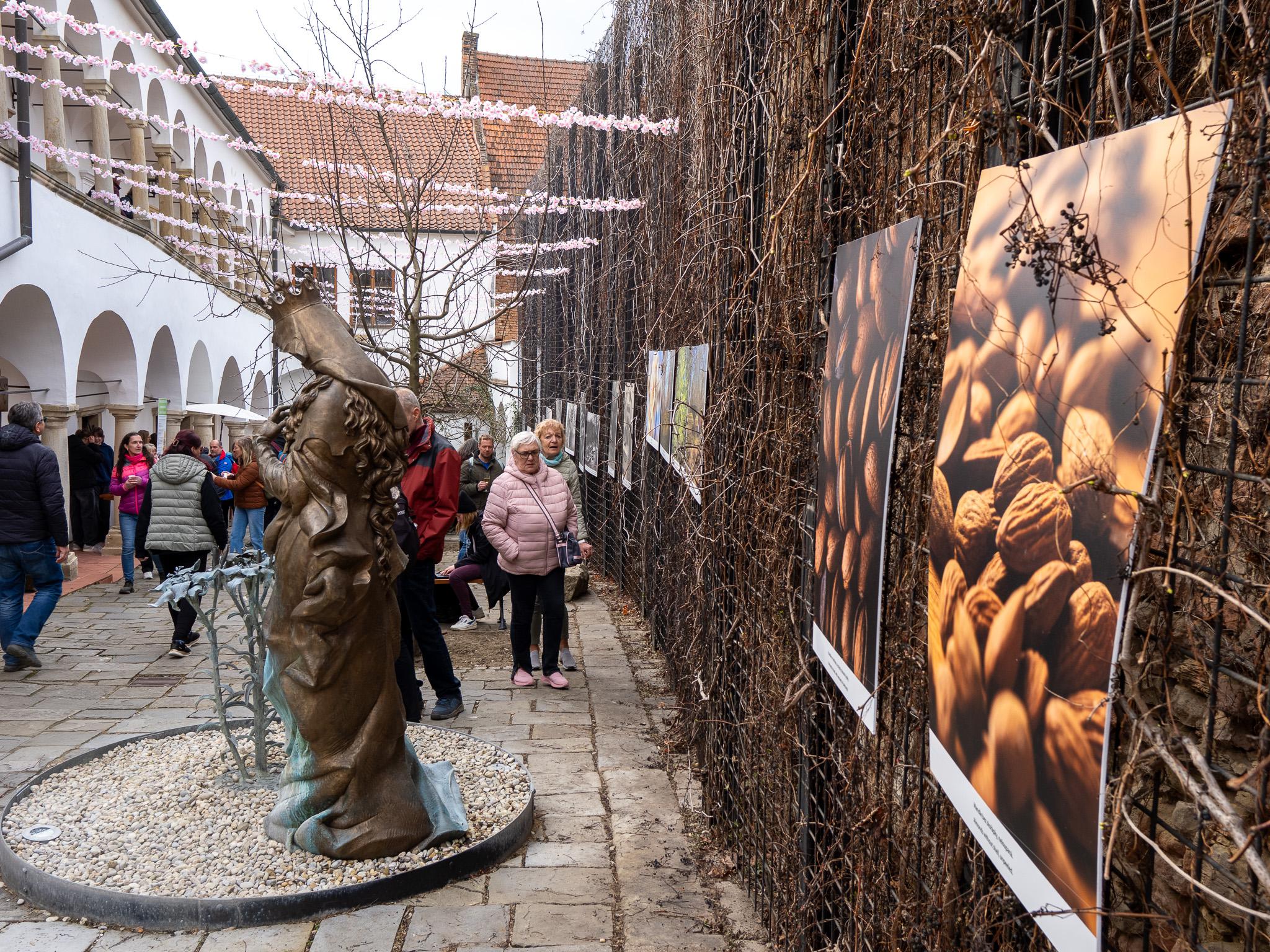 Městské muzeum a galerie Hustopeče foto 6