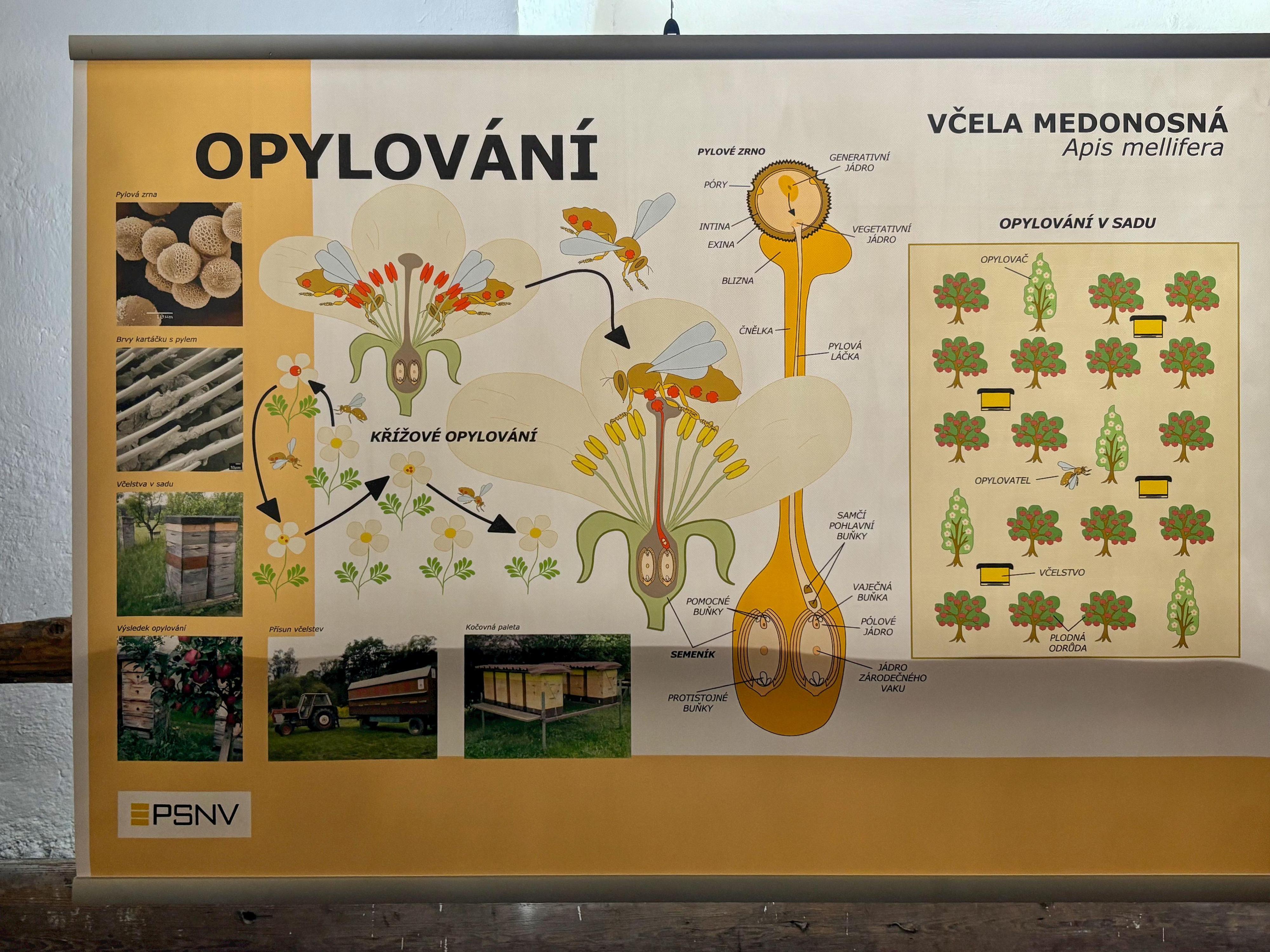 Muzeum včelařství foto 4