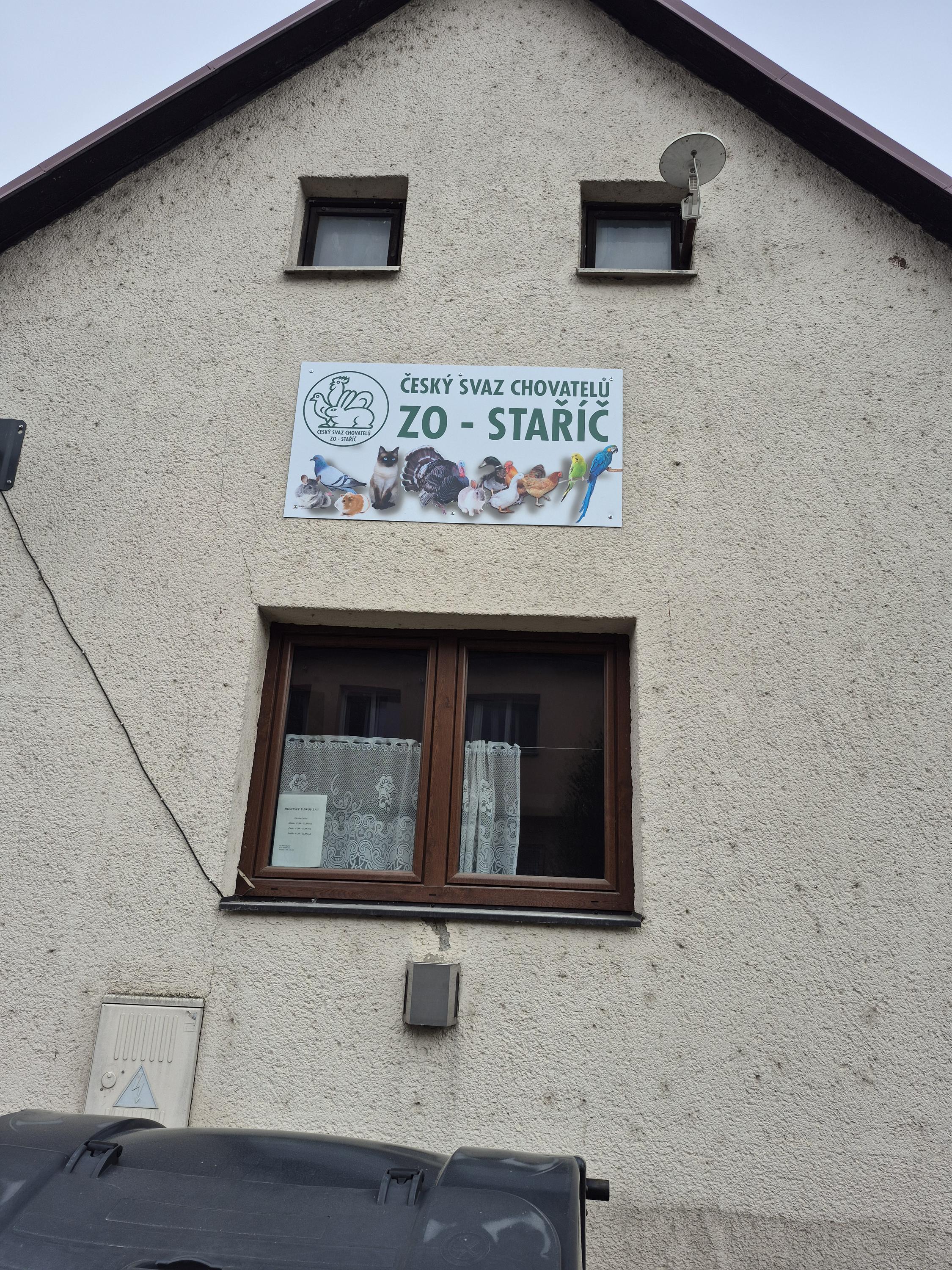 Bistro U Dvou lvů foto 1