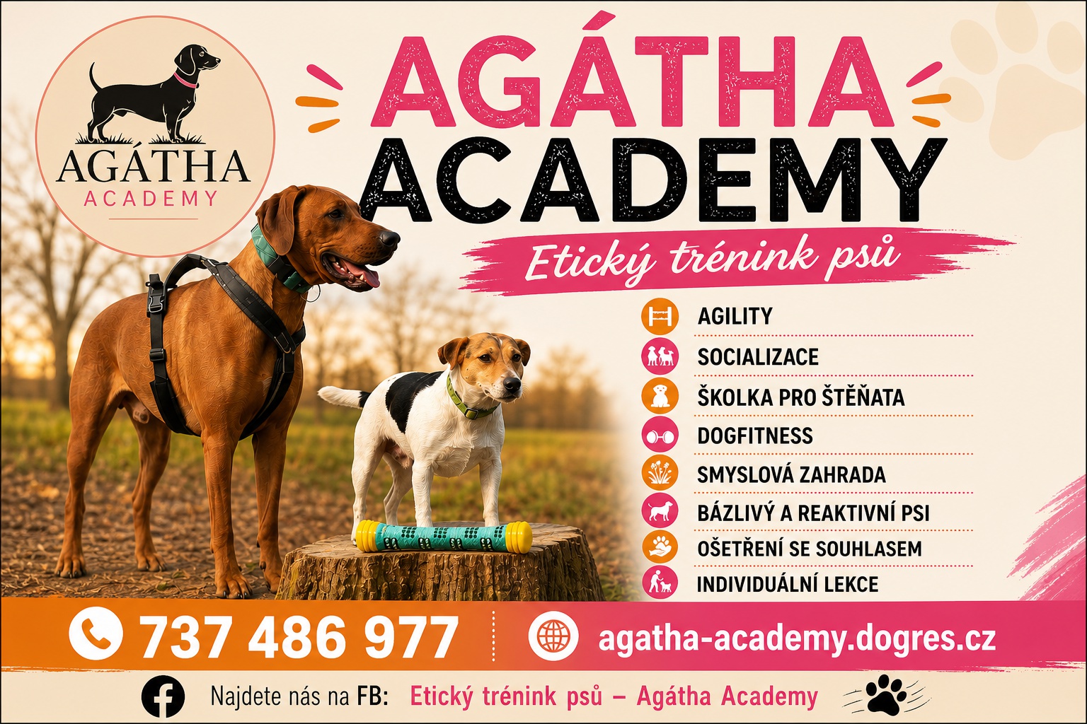 Agatha academy