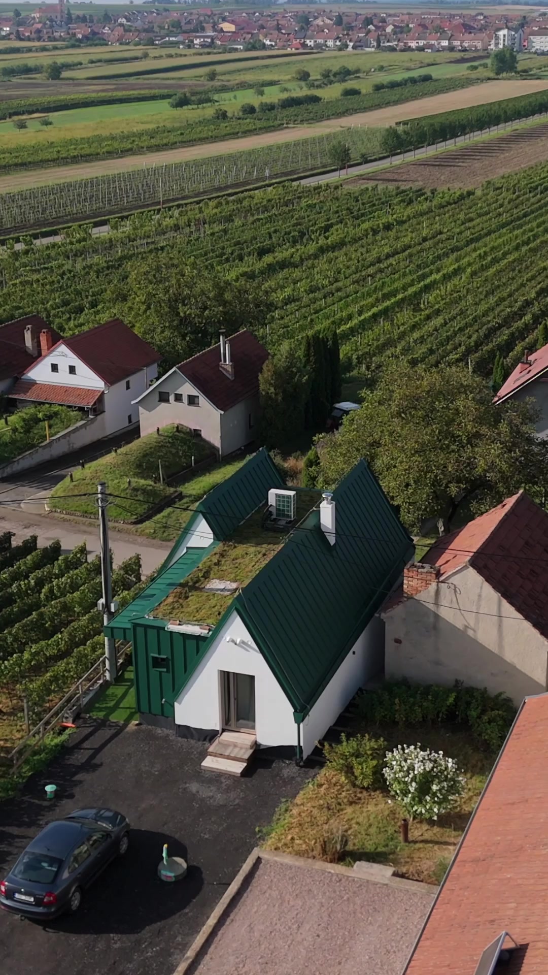 Malverina foto 2 (náhled videa)