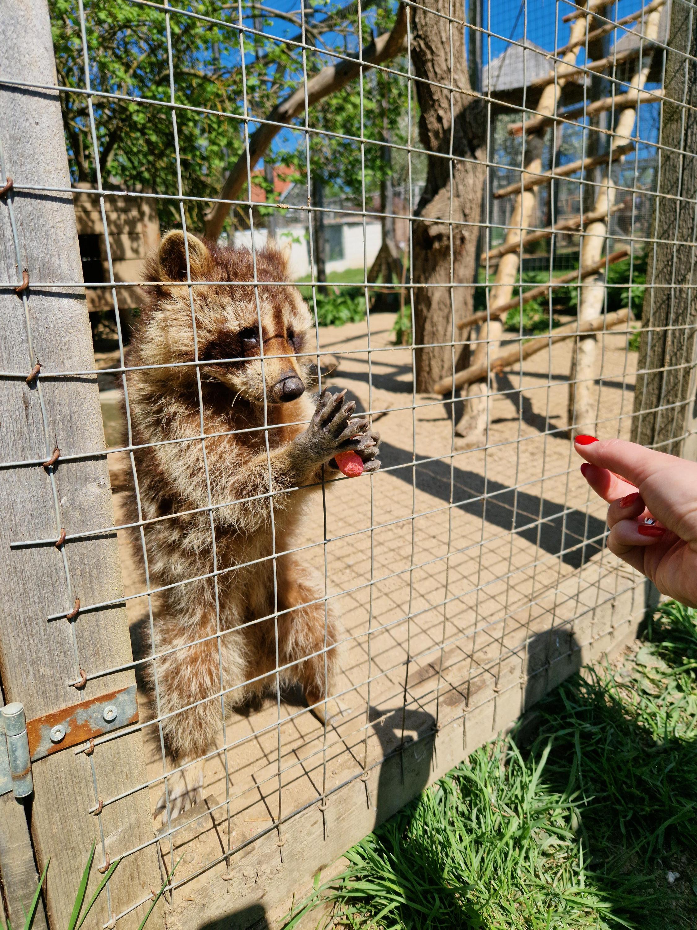 Rodinný Zookoutek Nová Říše z.s. foto 2