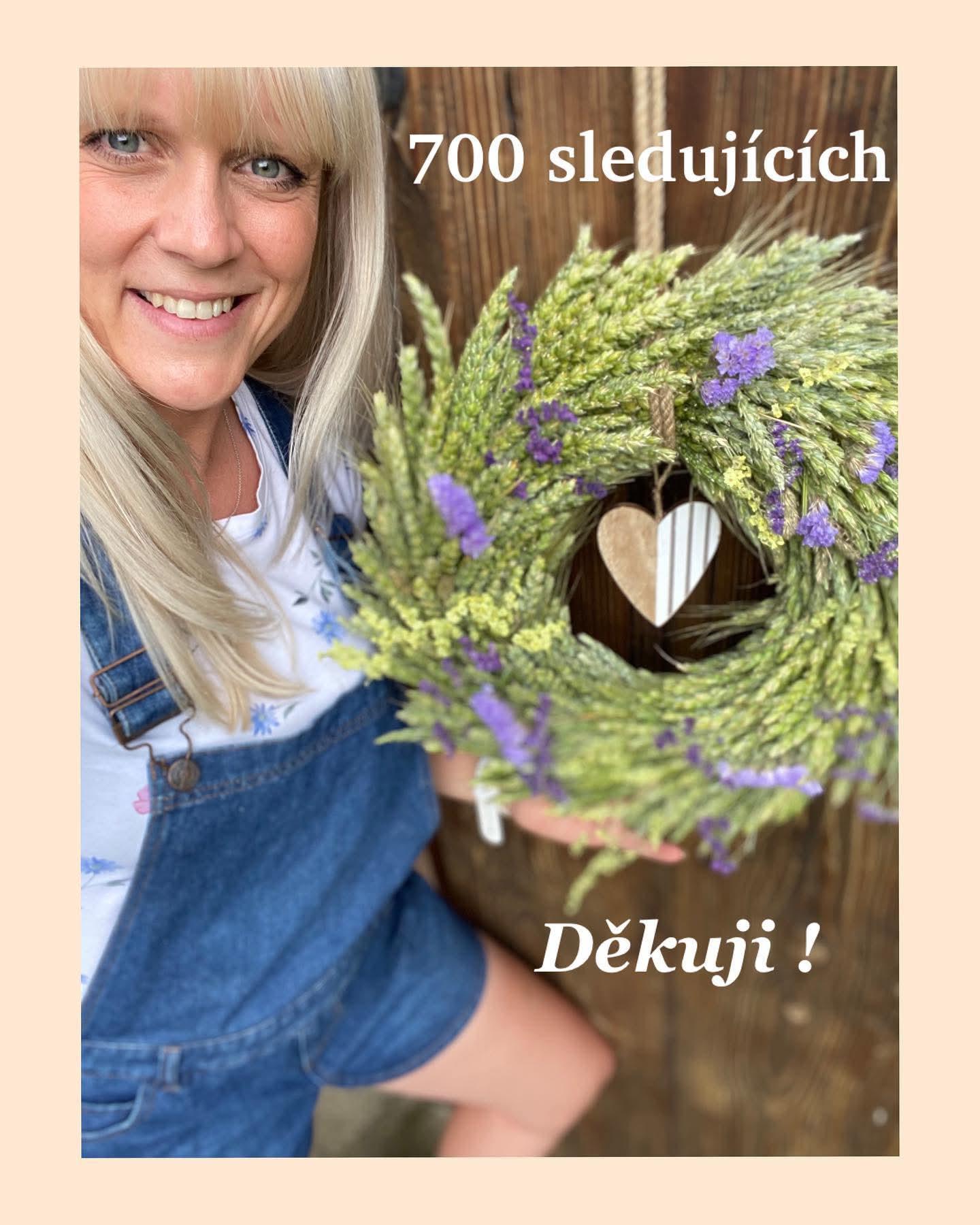 Zaplotemvenkovskehostaveni.cz foto 4