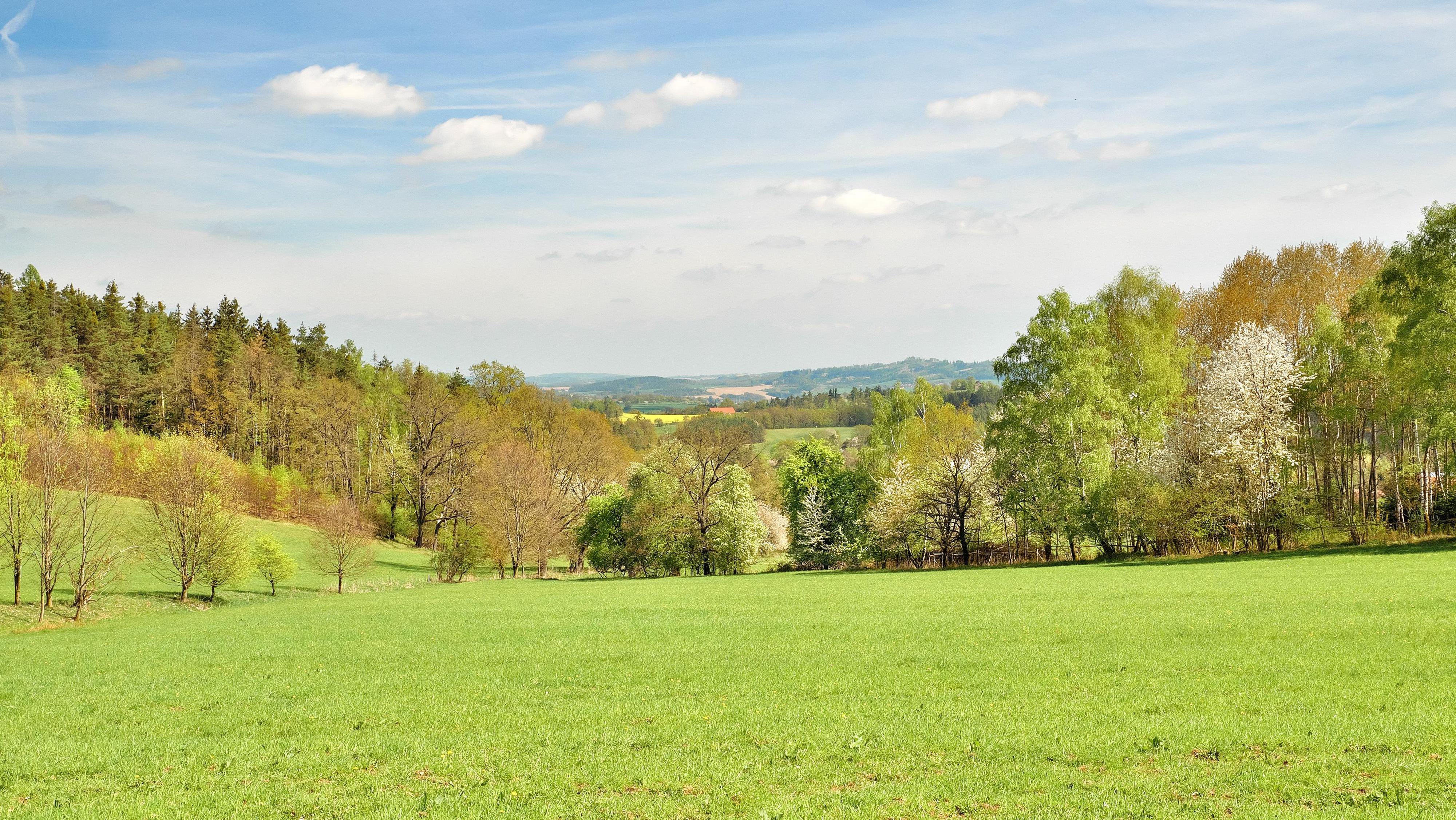 Jezdecký klub Babice u Benešova foto 2