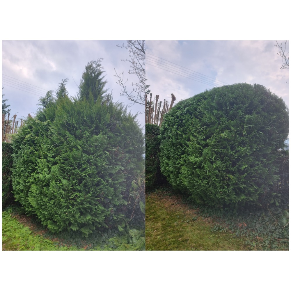 Udržuj Zeleň foto 4