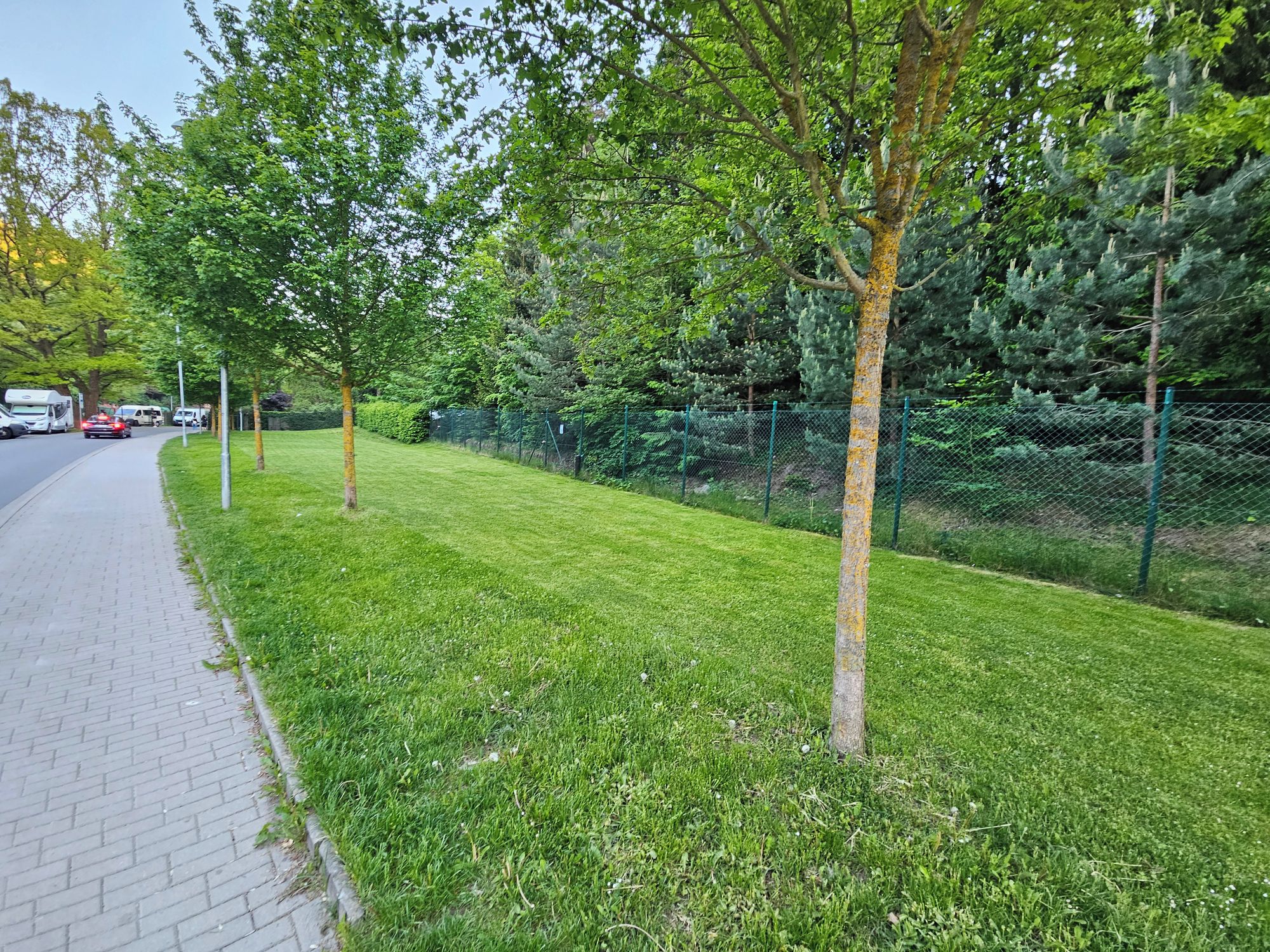 V přírodě centra Jihlavy foto 3