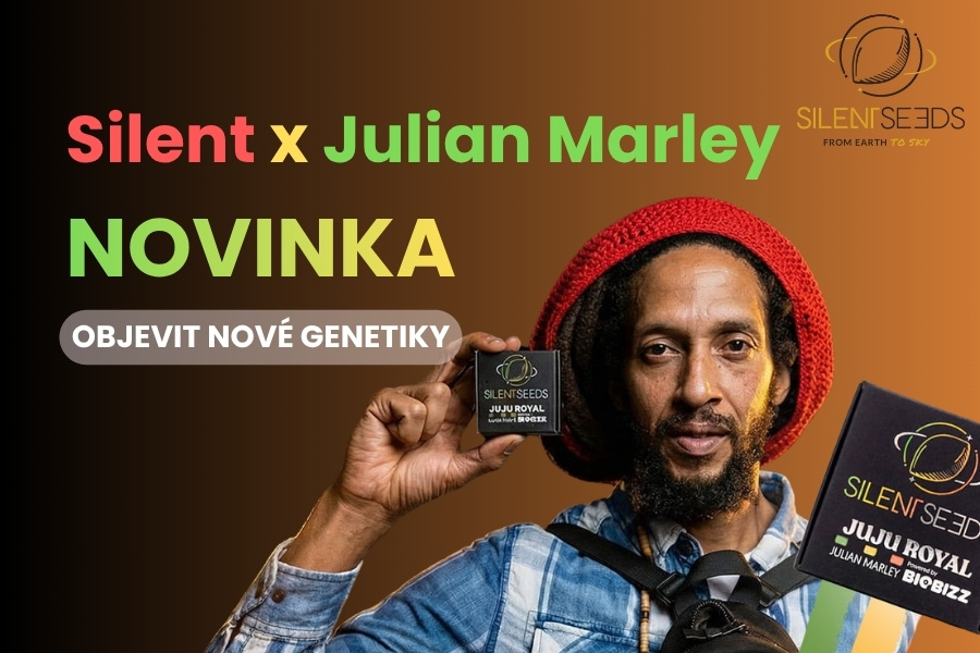 Spojení Juliana Marleyho a týmu Silent Seeds