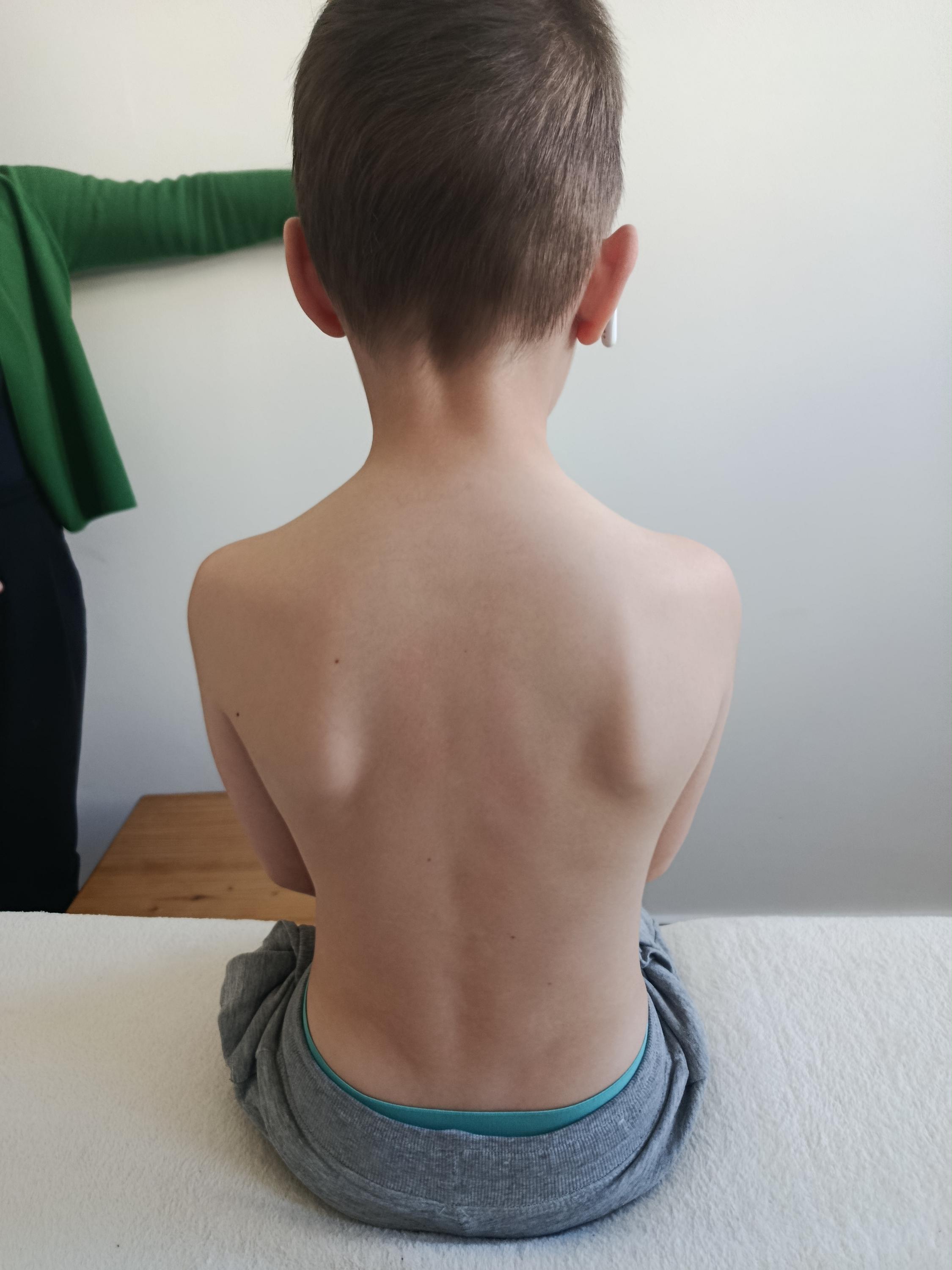 Markéta Nacházelová - manuální terapeut pro lidi a zvířata foto 5