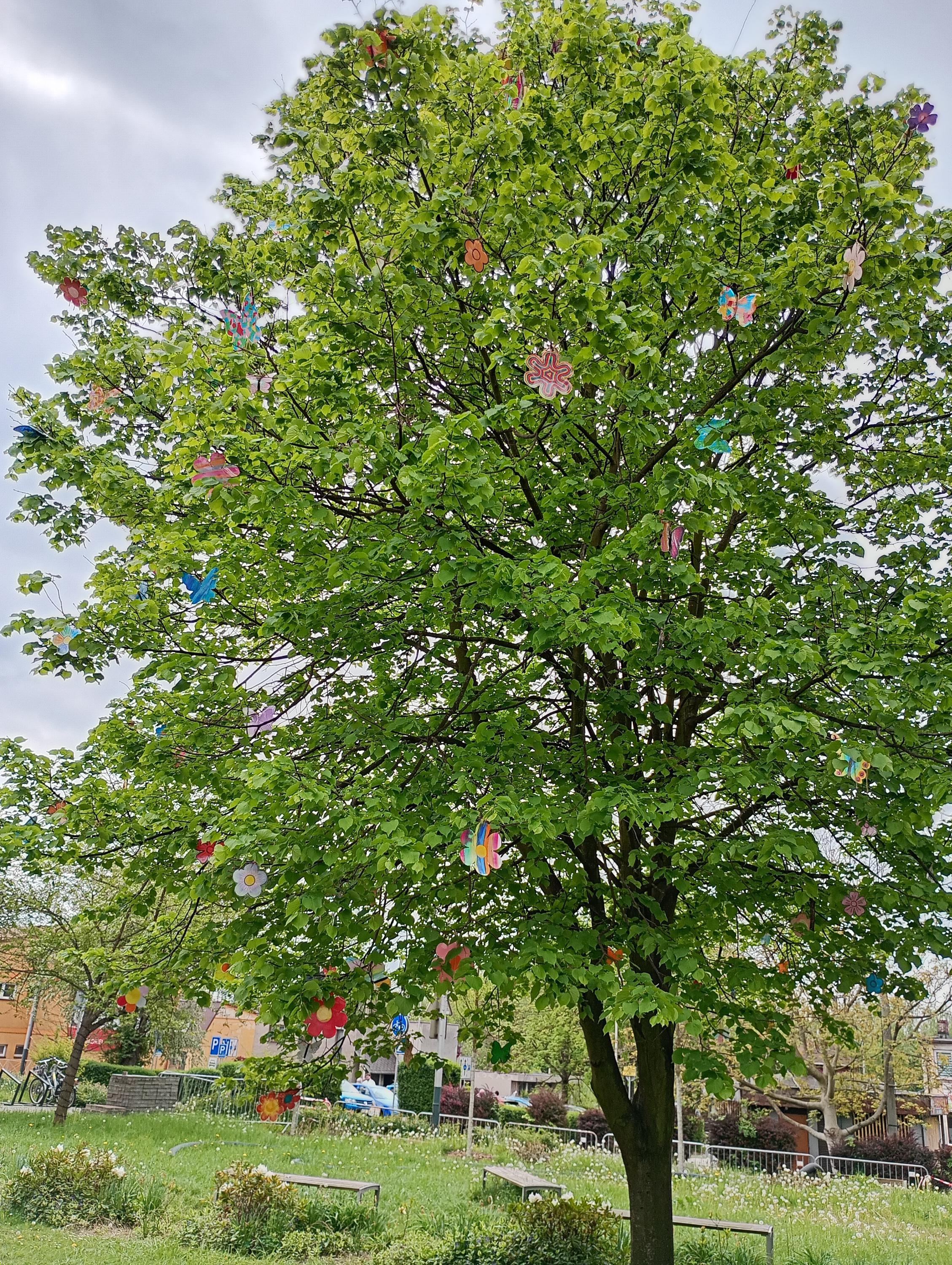 Základní škola Ostrava-Radvanice, Vrchlického 5 foto 2