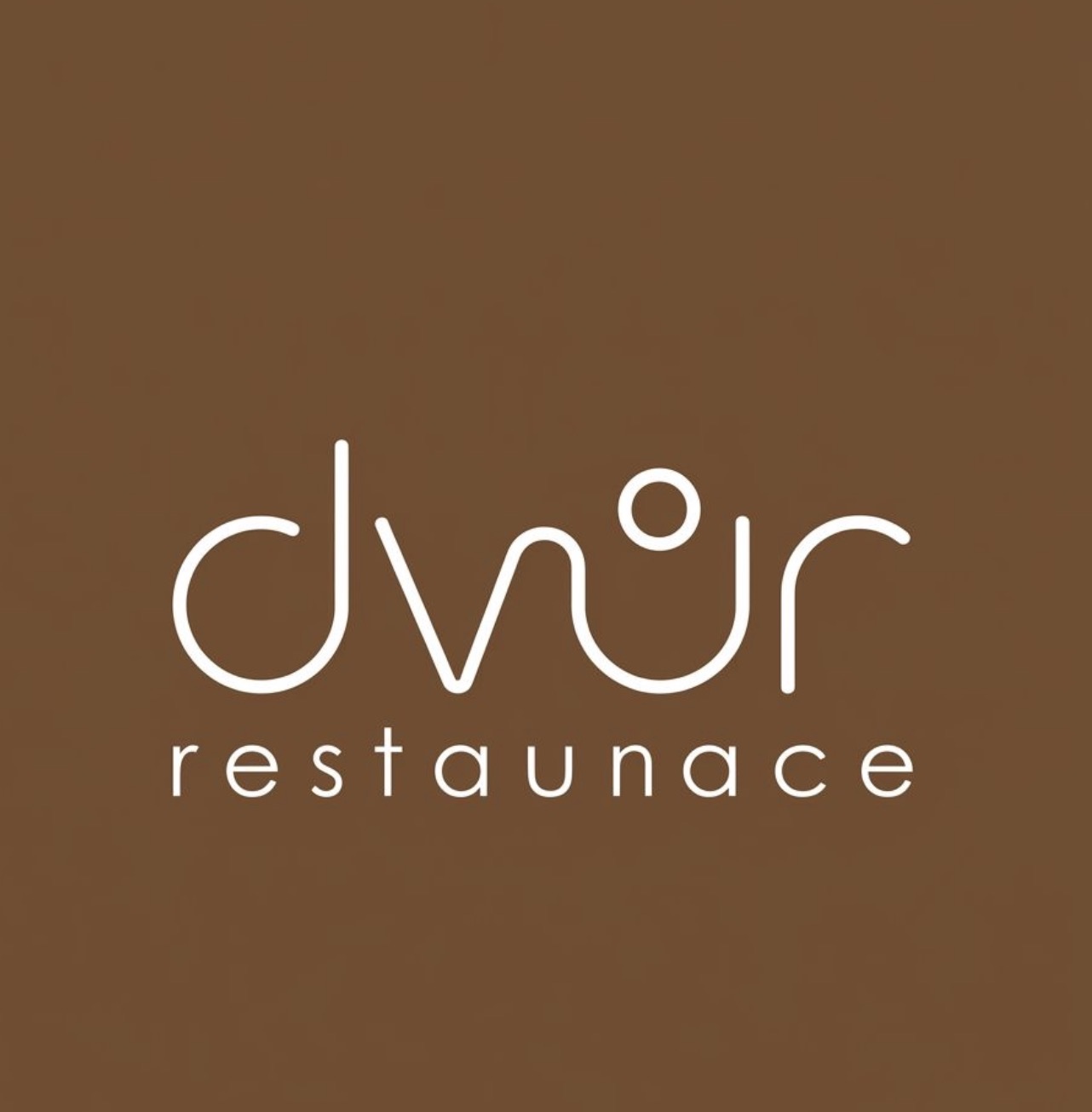 Restaurace Dvůr foto 2