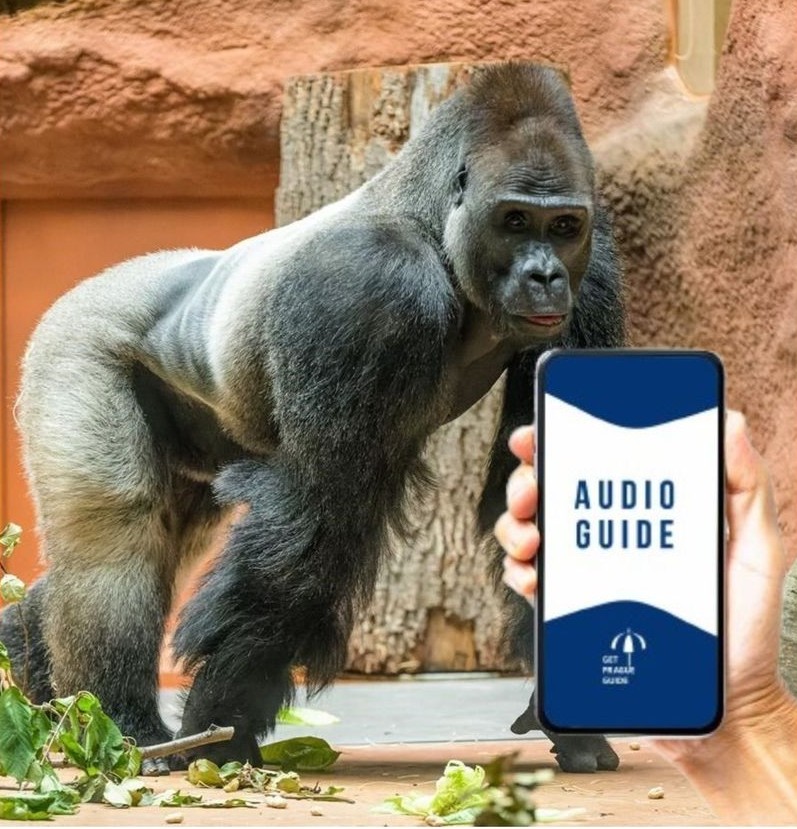 Vstupenka do ZOO Praha s mobilním průvodcem