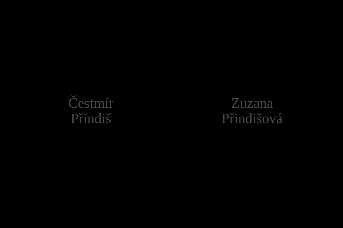 MgA. Čestmír Přindiš