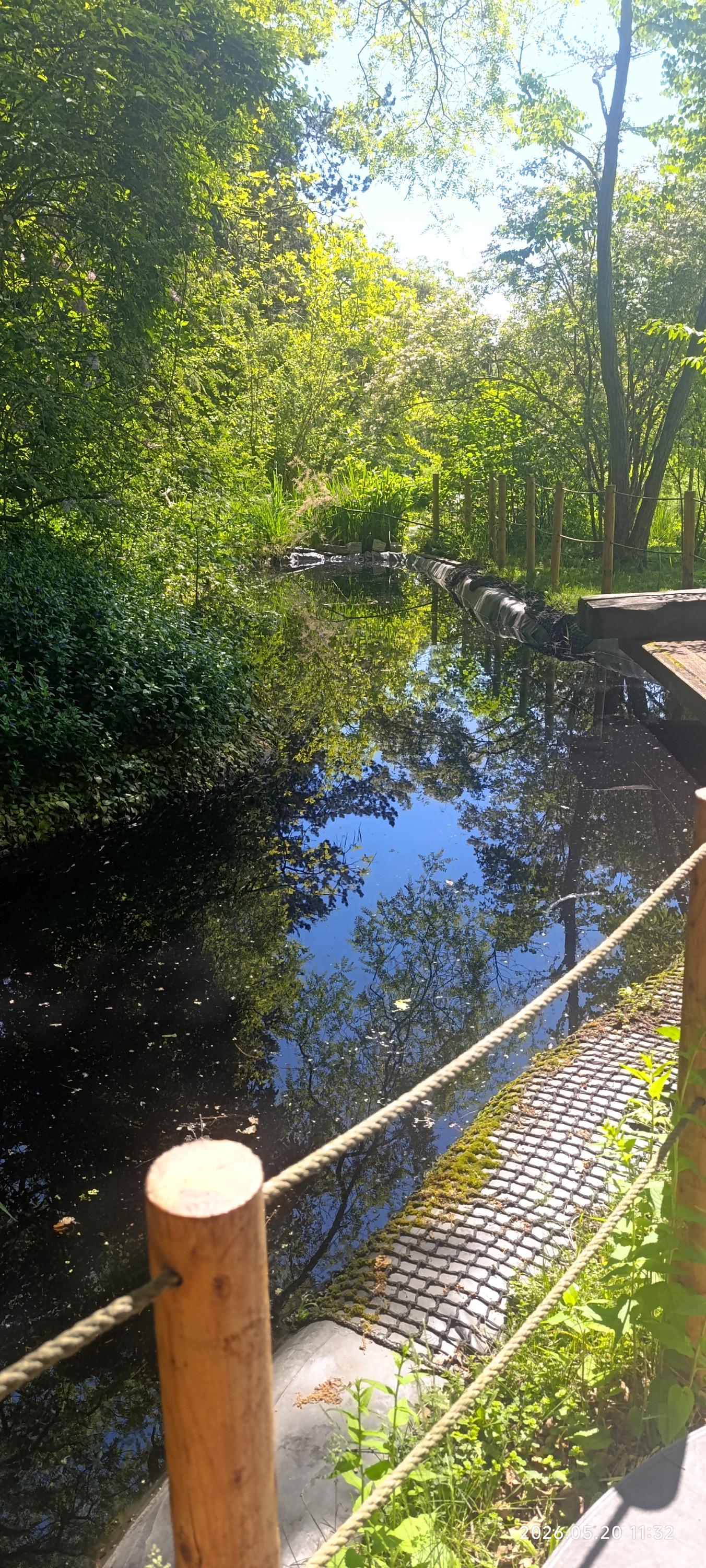 Botanická zahrada Přírodovědecké fakulty Univerzity Palackého v Olomouci foto 5