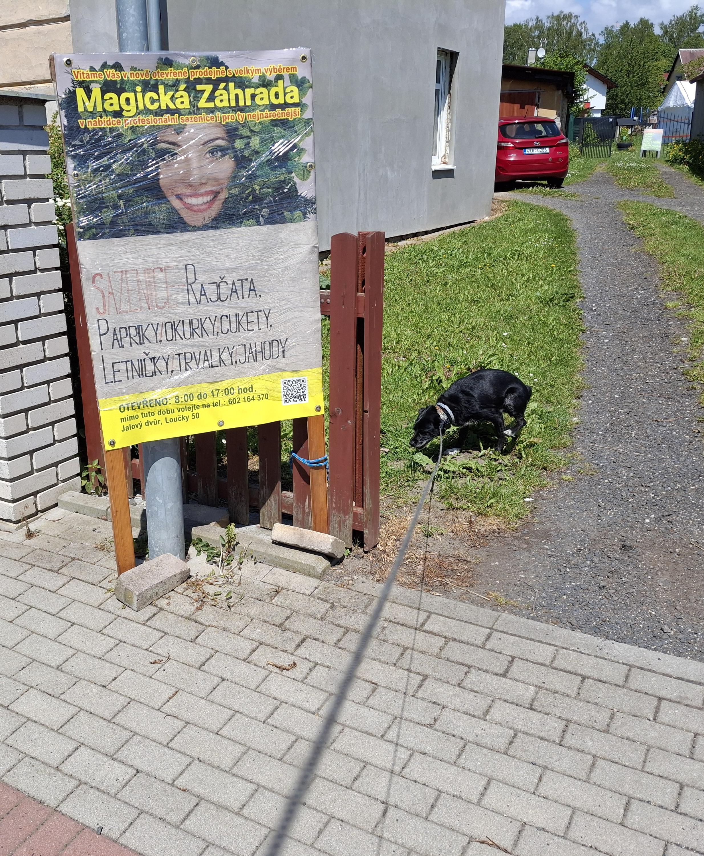 Magická zahrada foto 4