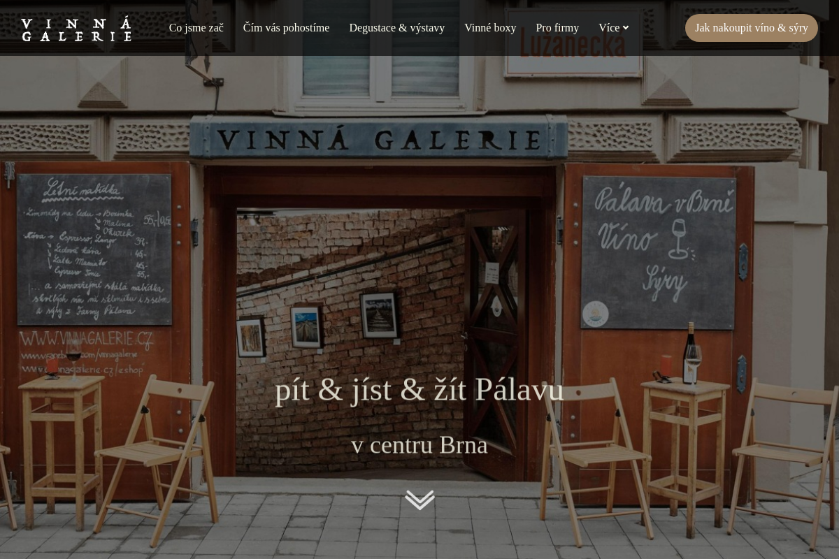 Vinnagalerie.cz