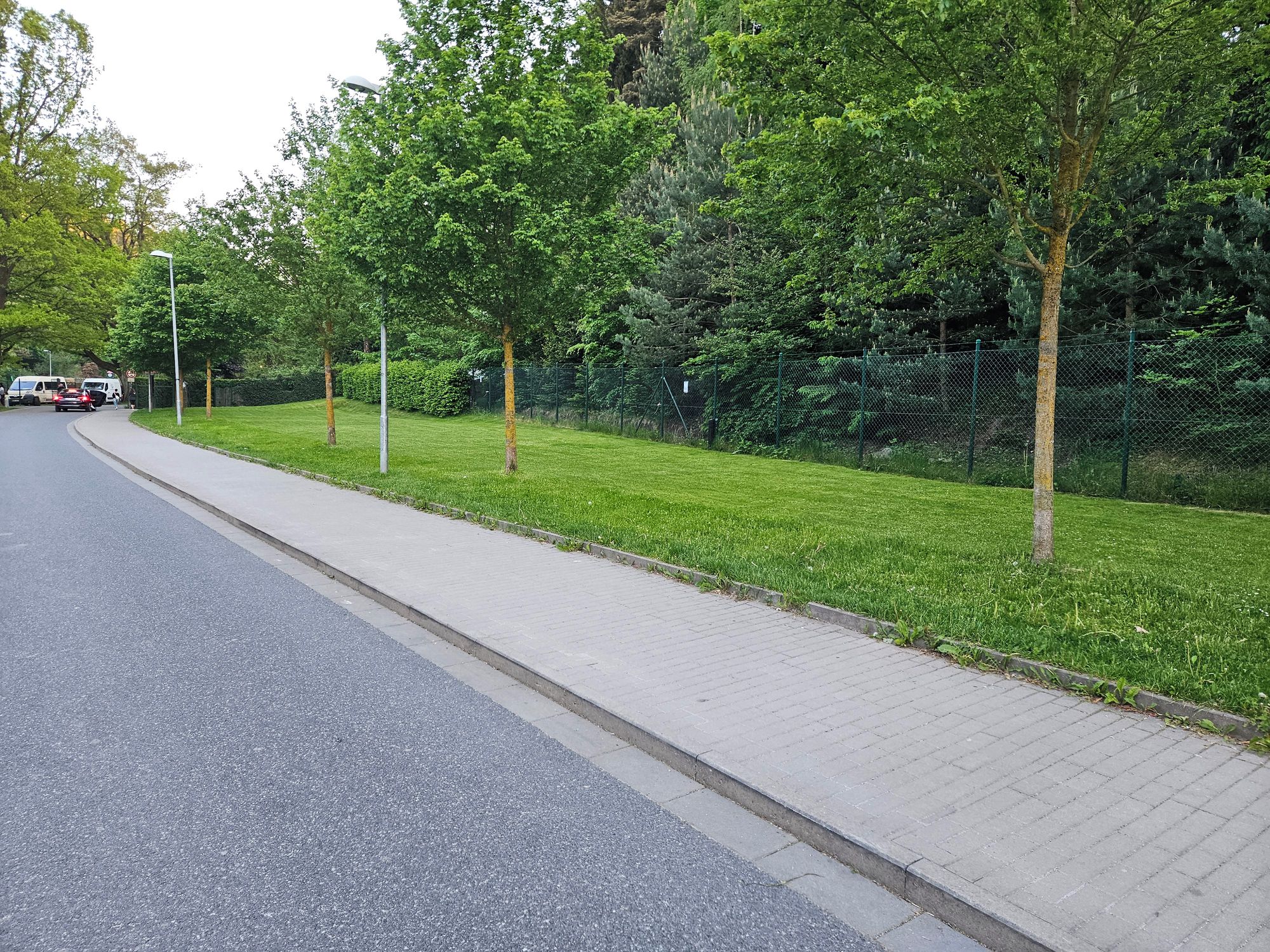 V přírodě centra Jihlavy foto 2