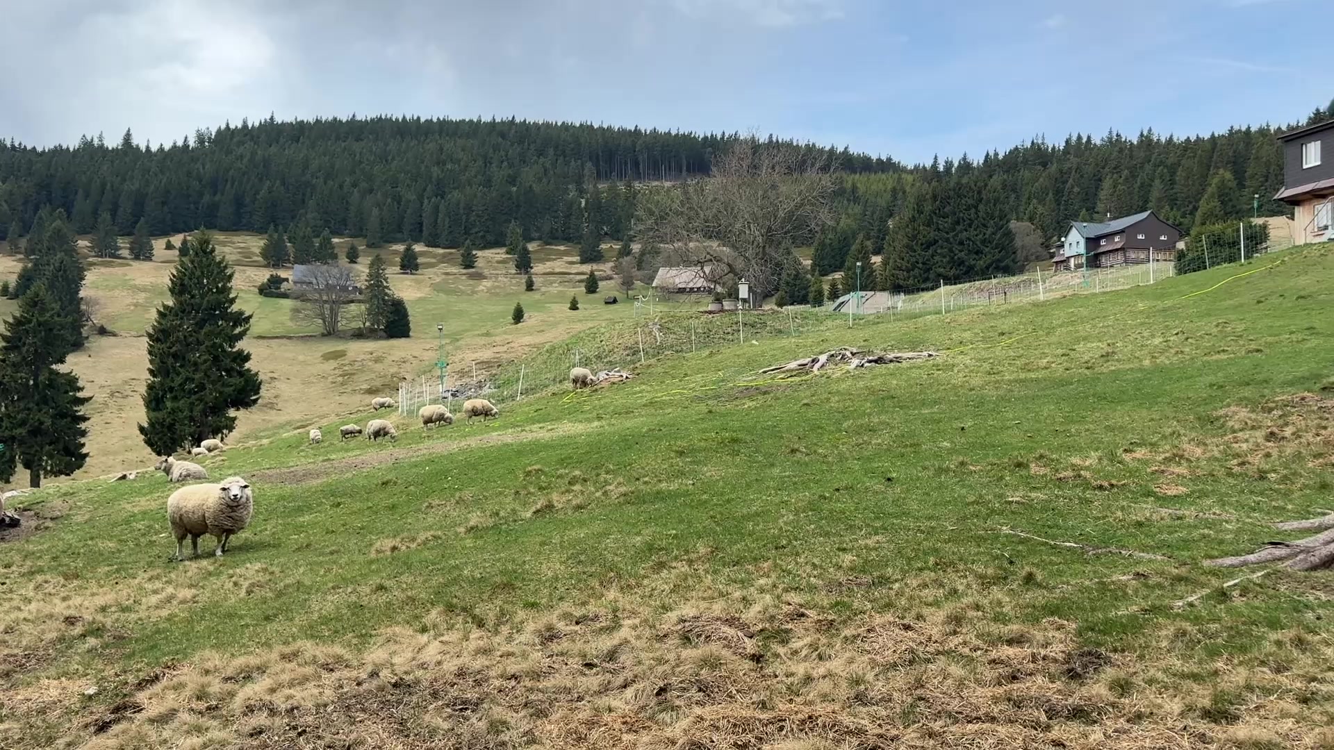Penzion Bouda Grizzly foto 2 (náhled videa)