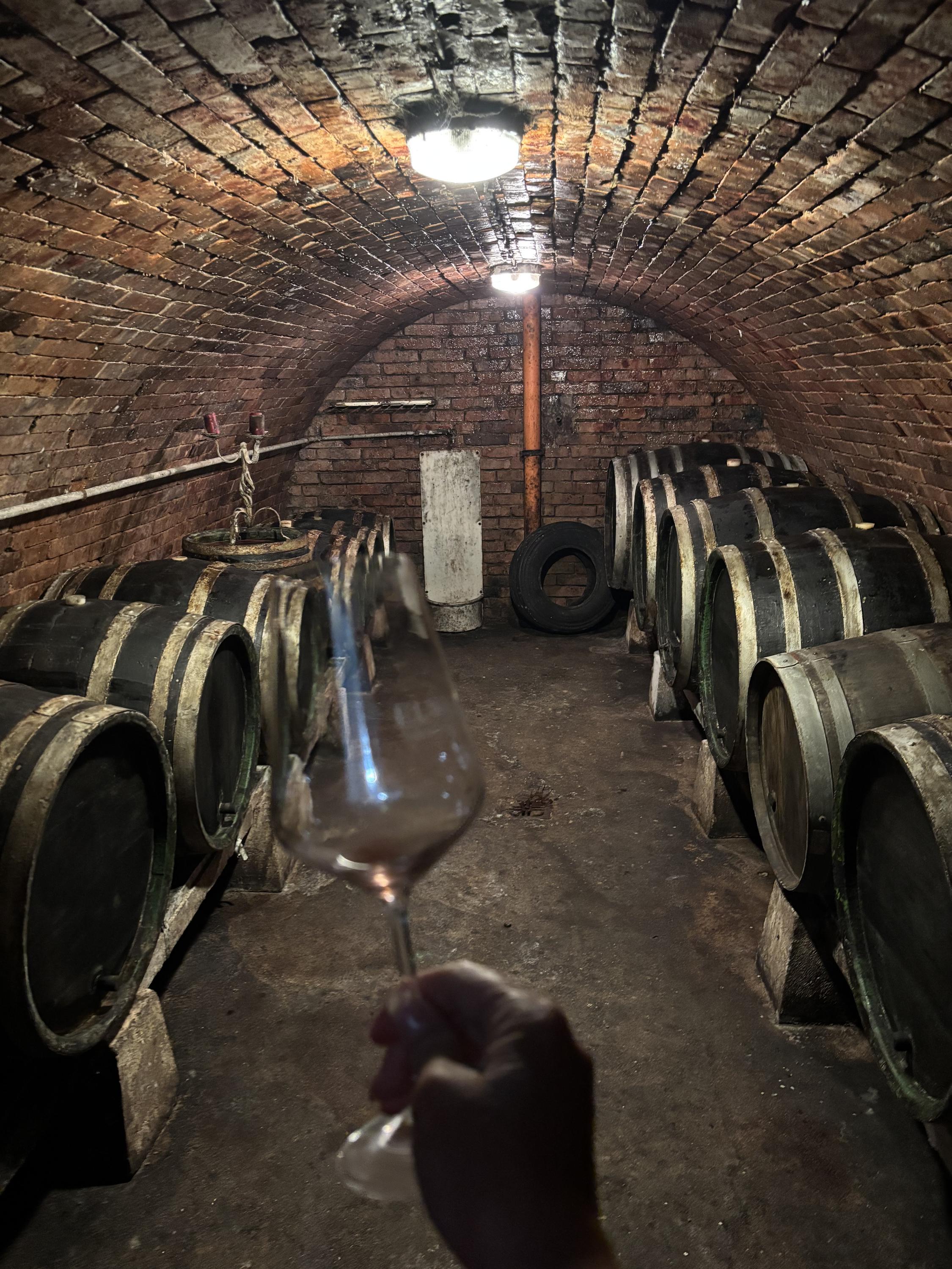 Vinařství ELWINE Velké Bílovice s.r.o. foto 6