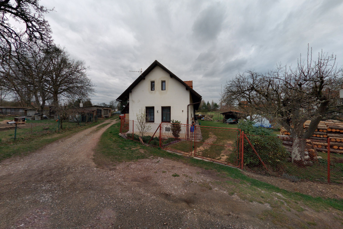 Květiny Renda foto 2