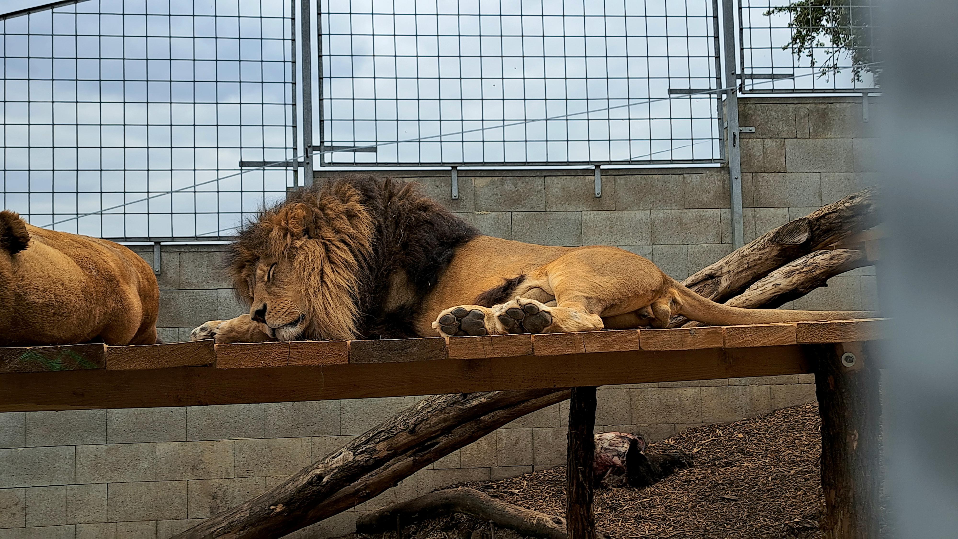 Zoopark Olovnice foto 5