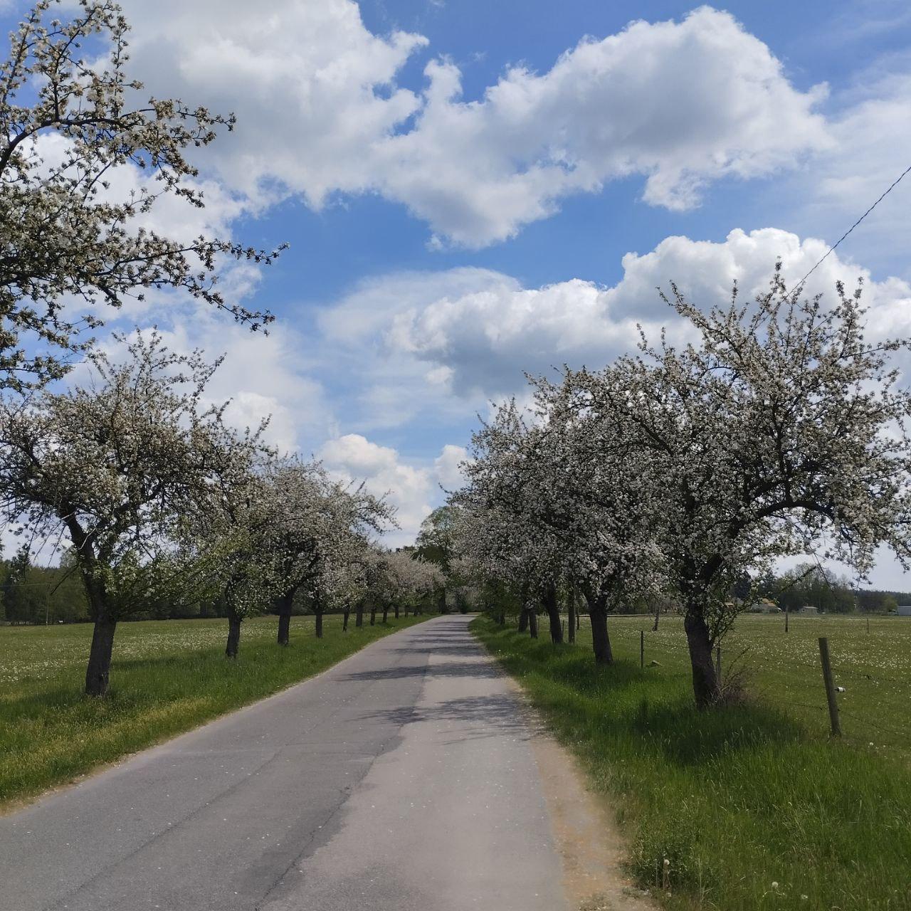 Statek Čtyřlístek foto 6