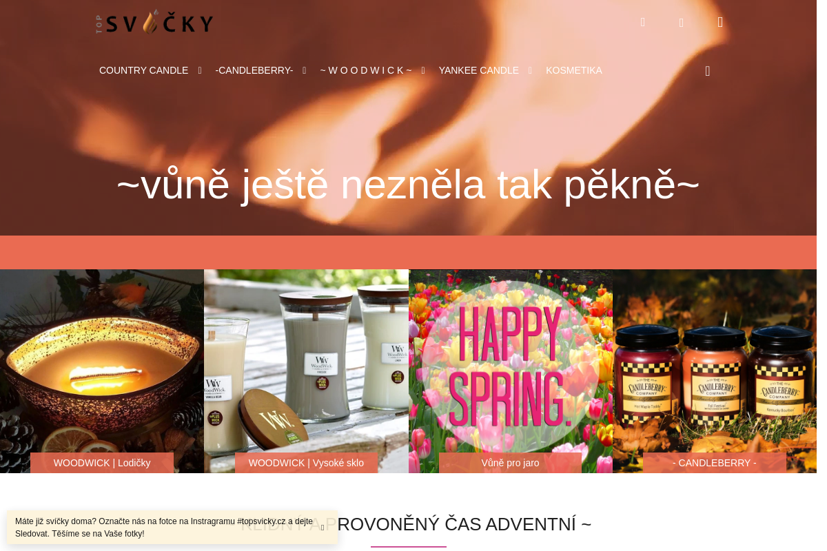 Topsvicky.cz