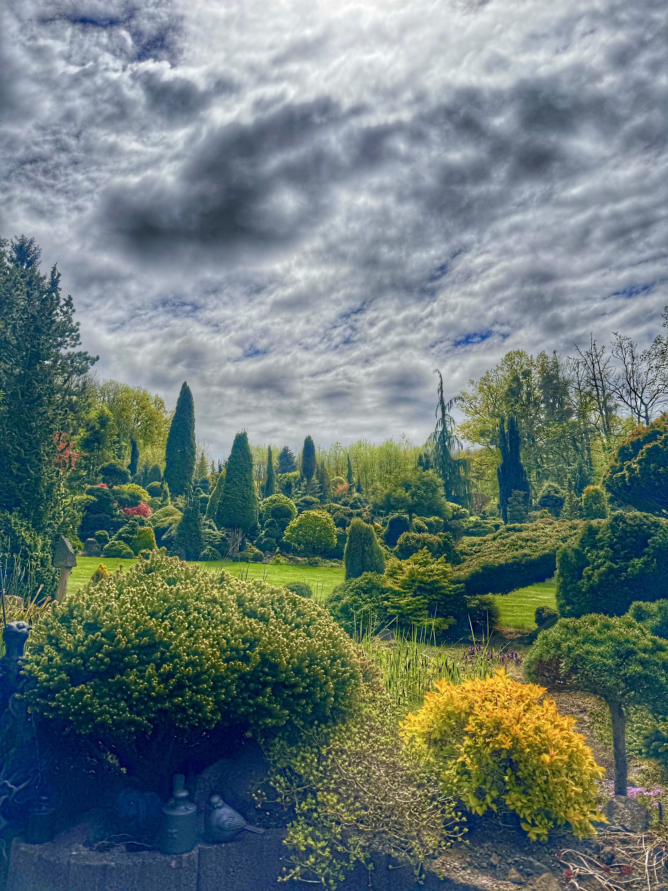 Miniarboretum foto 4