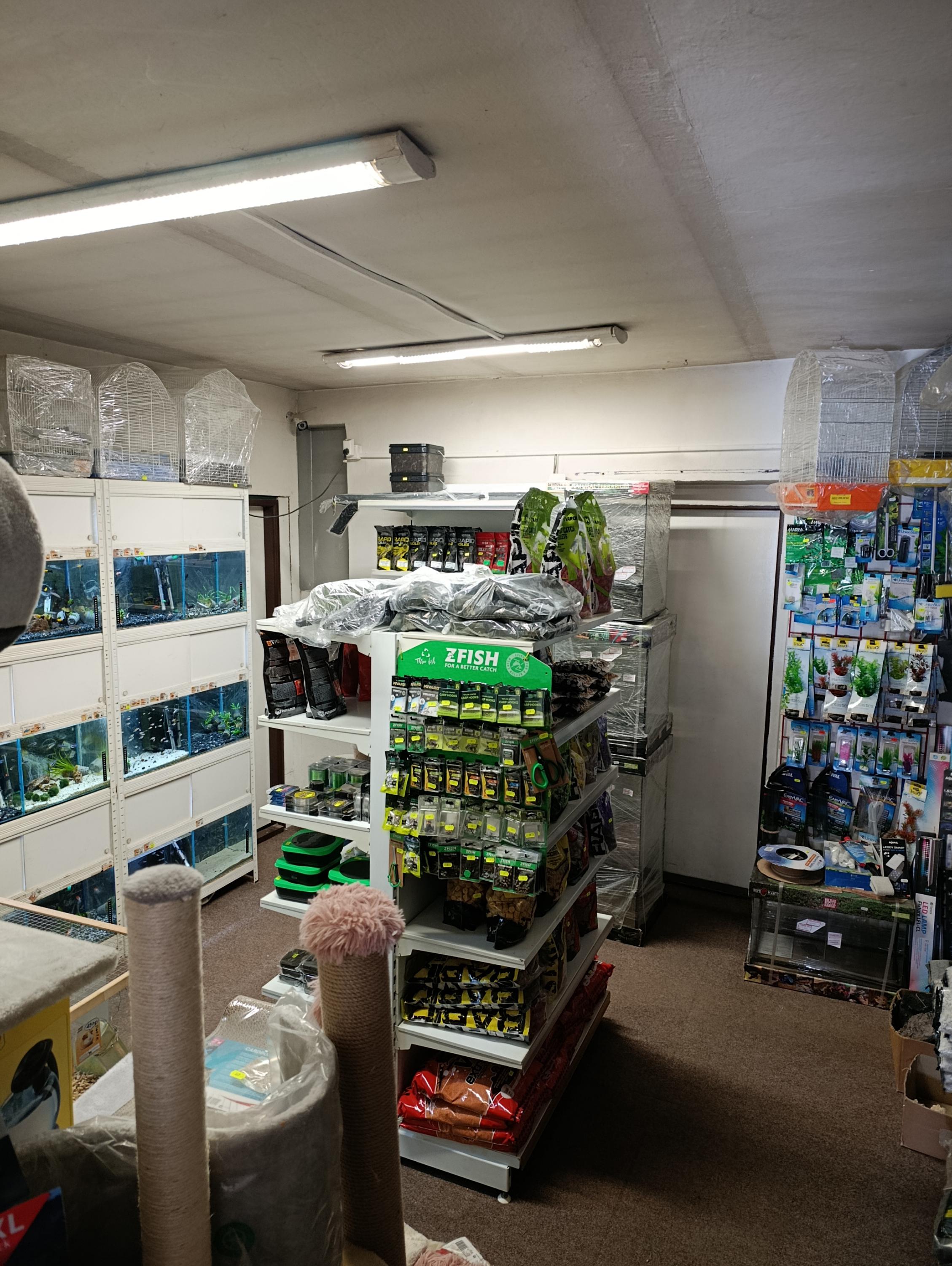 FISH ROOM foto 3