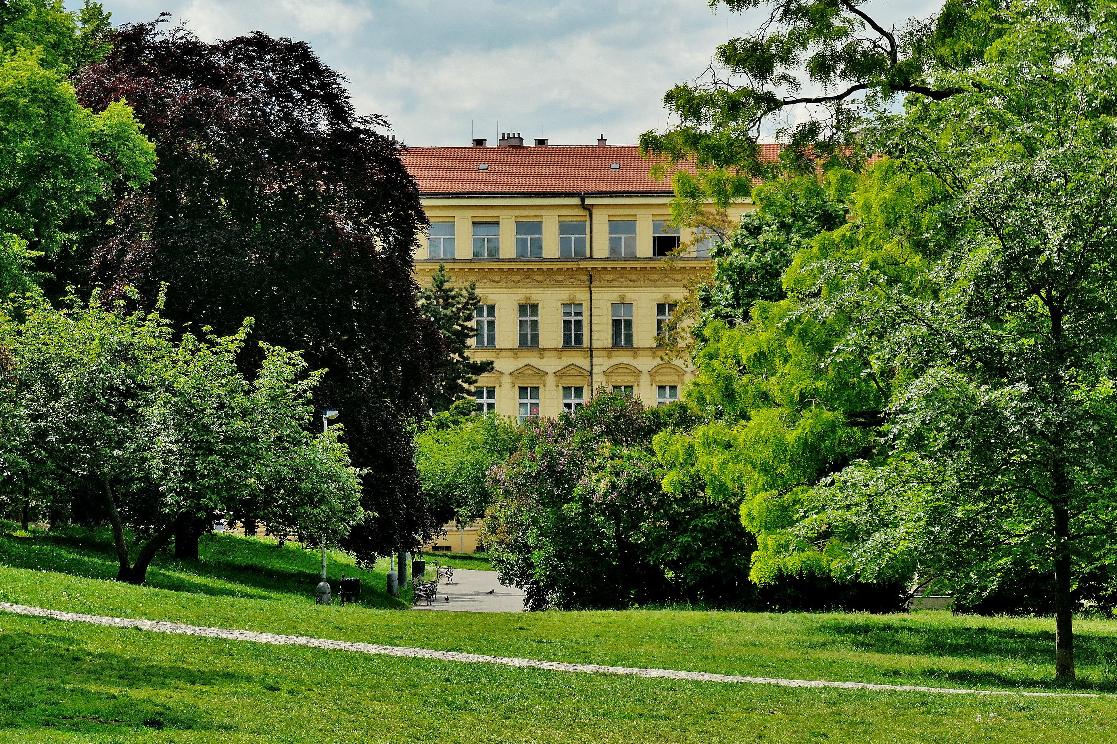 ZŠ a Střední škola Praha 2, Vinohradská foto 2