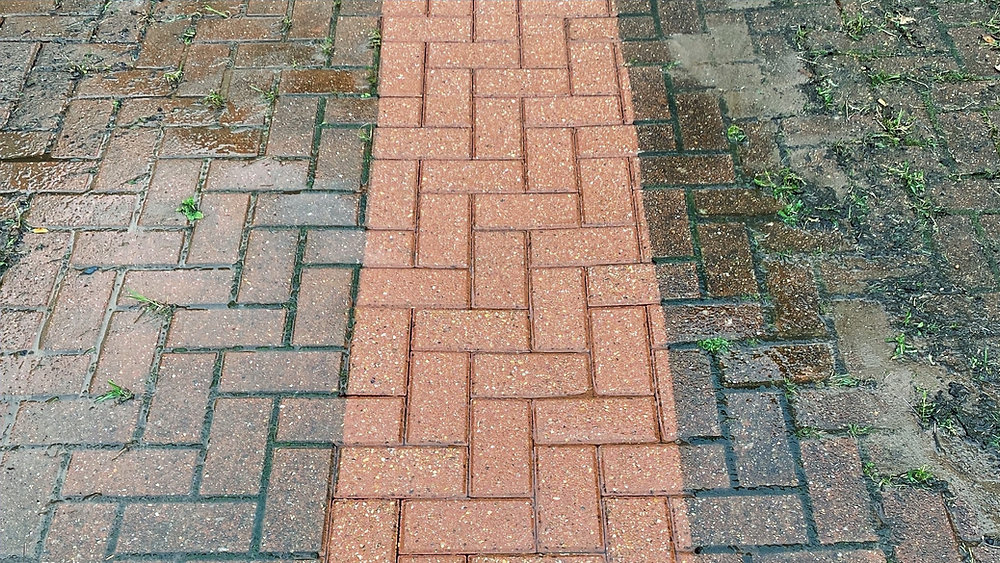 RENOPUR foto 2