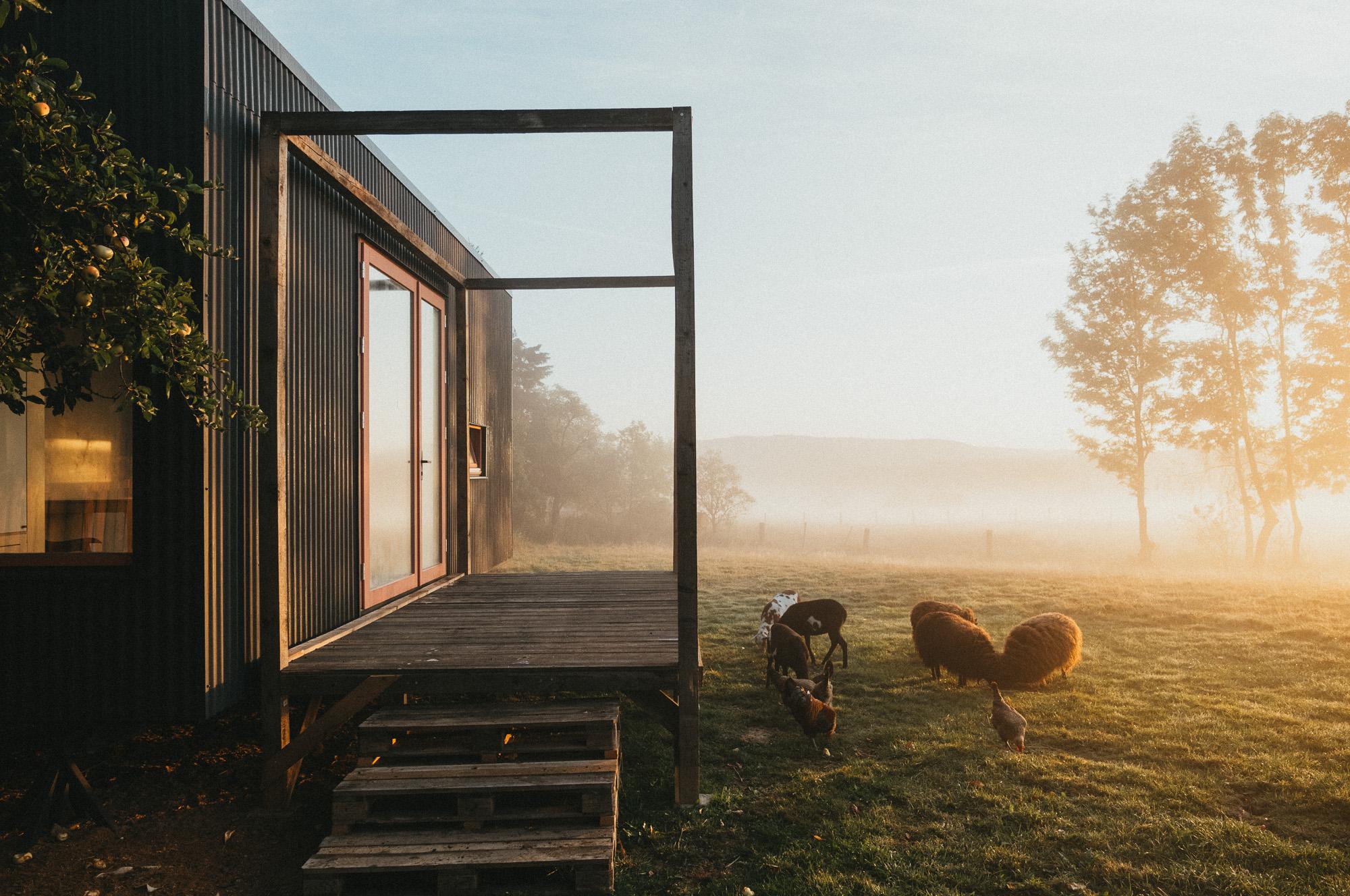 Tiny house v ohradě