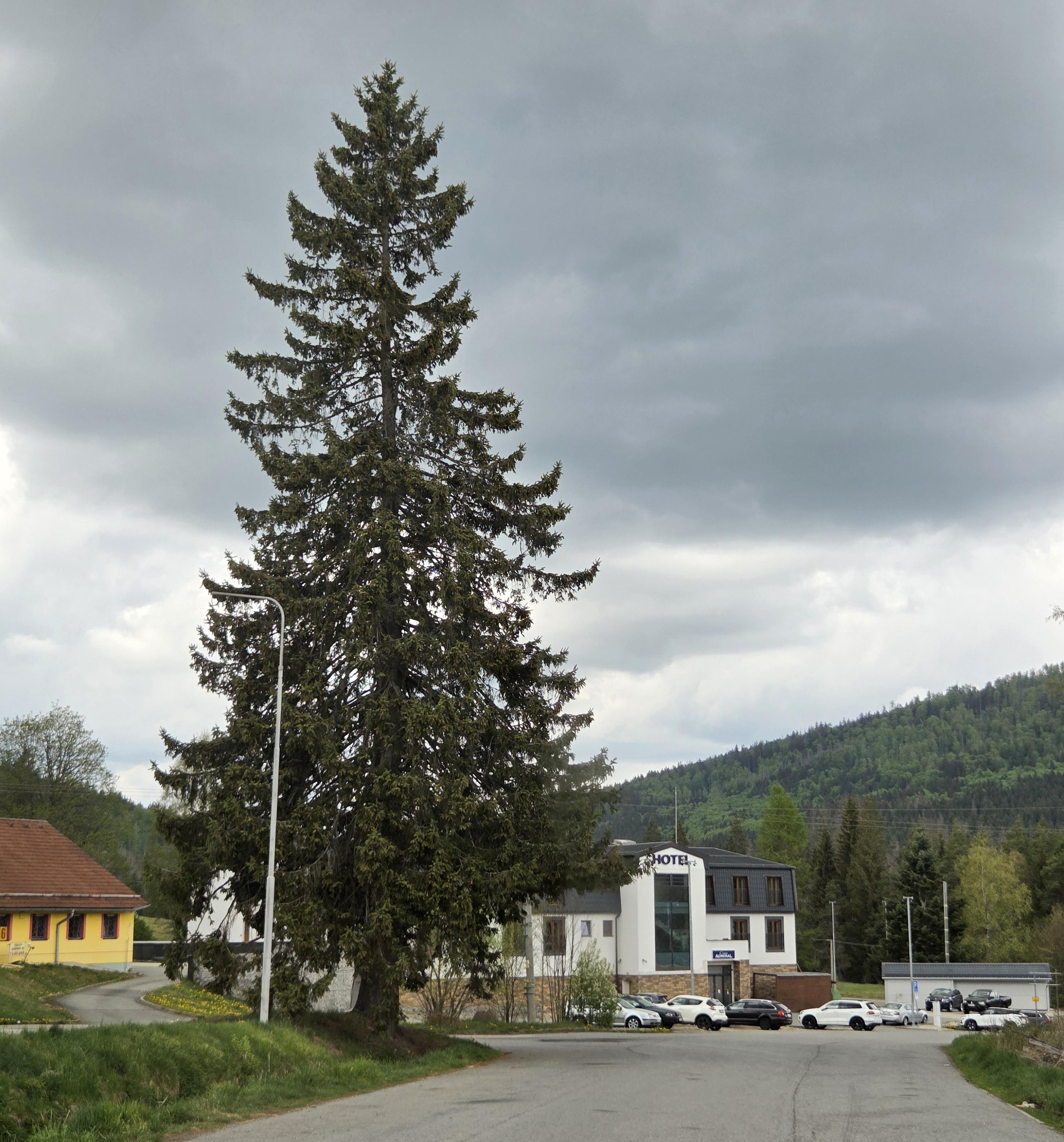 Hotel Admiral Strážný foto 3