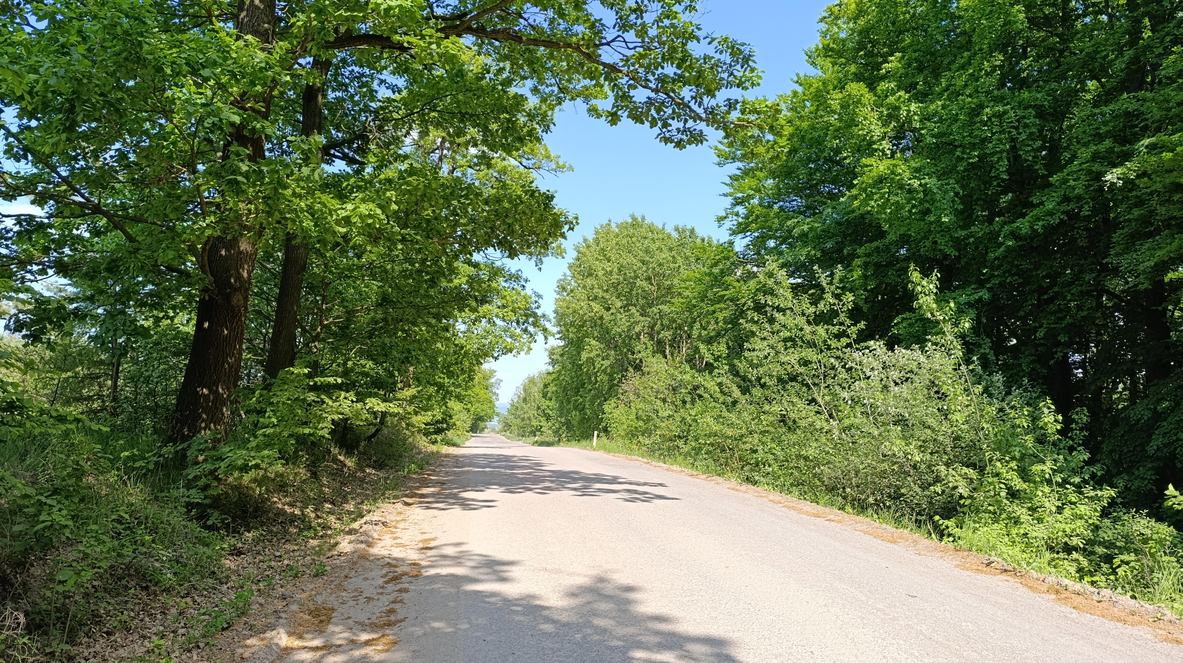 Kamenolom Žlutava foto 2