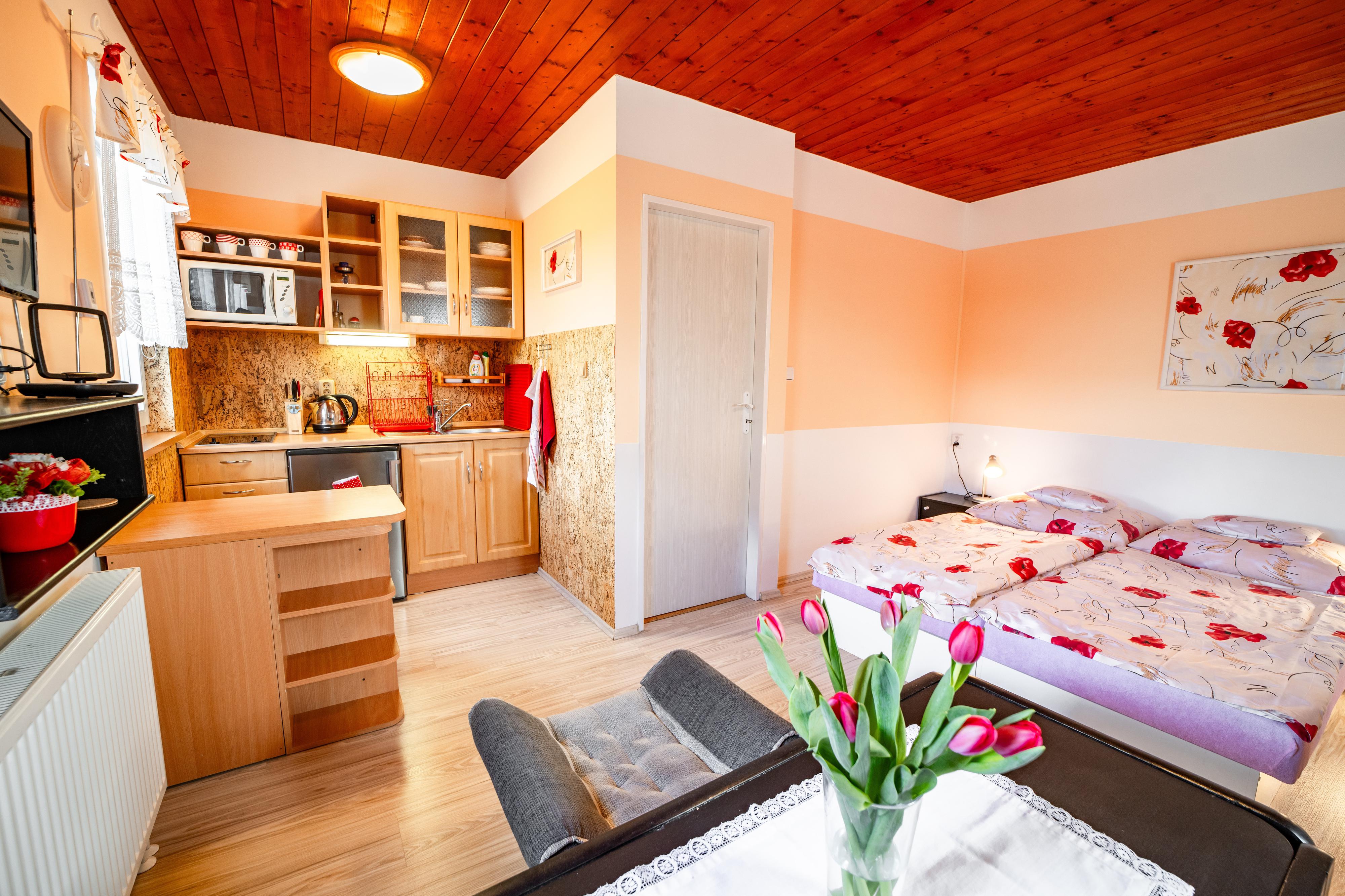 Apartmán Výhled foto 4