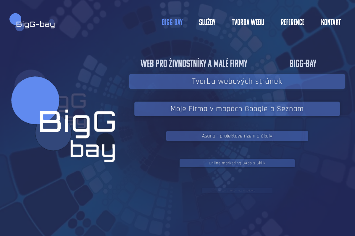 Jiří Vocílka - BigG-bay