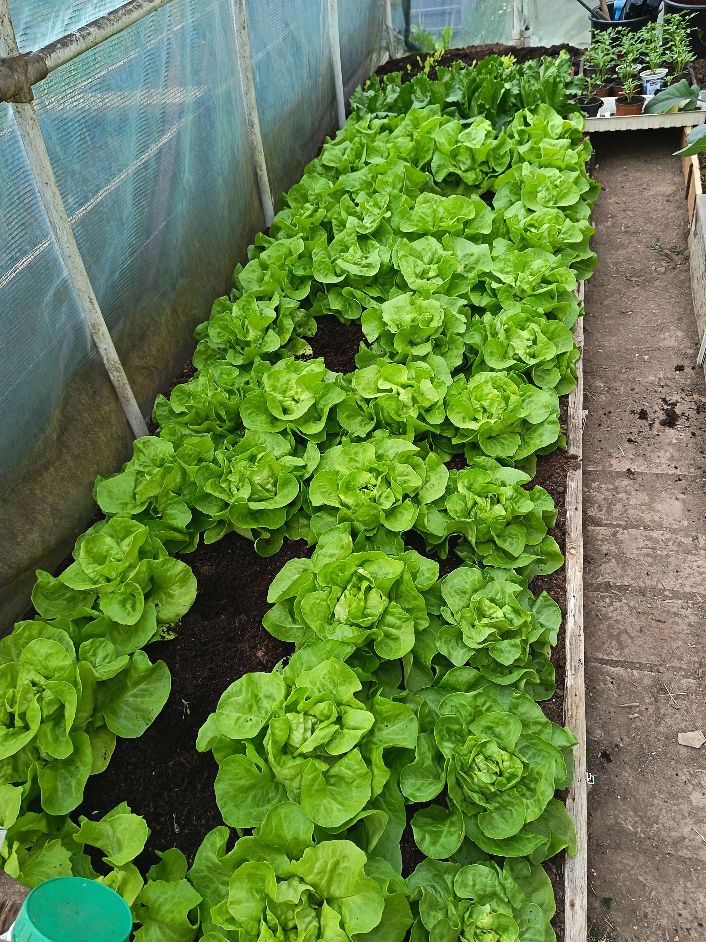Farmářské dobroty U Hanky foto 5