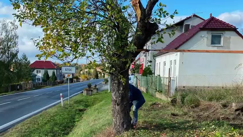 Jaroslav Plass foto 2 (náhled videa)