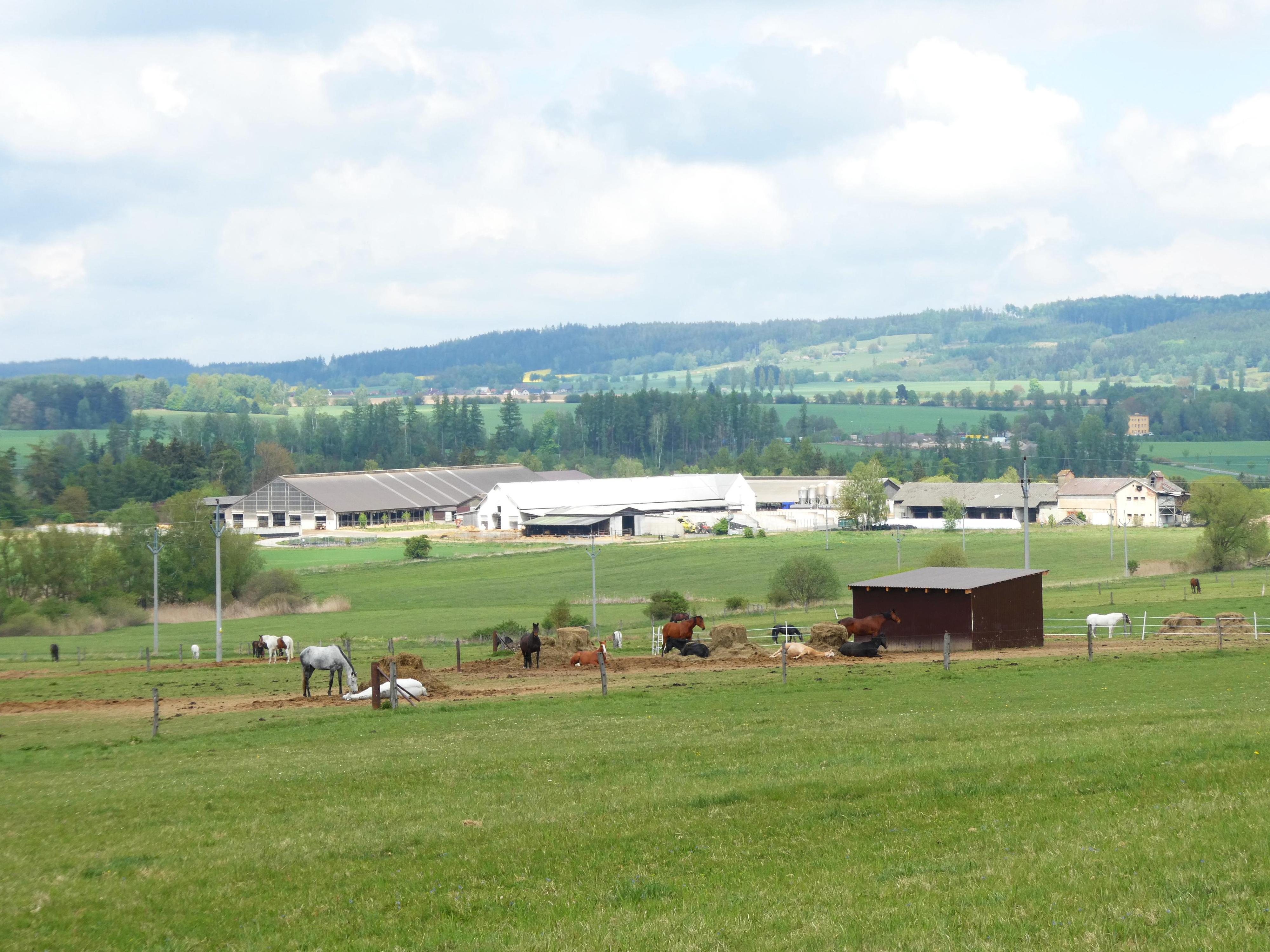 Farma Rosecký foto 2