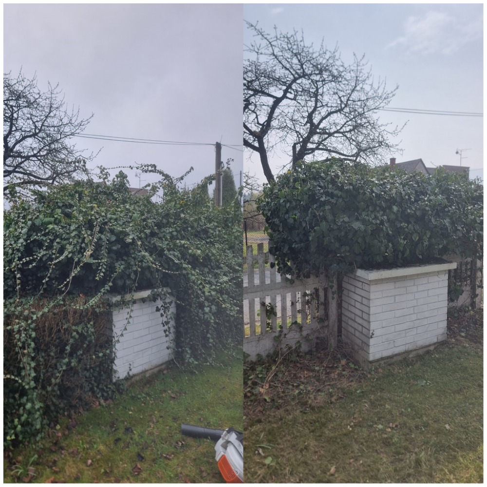 Udržuj Zeleň foto 5