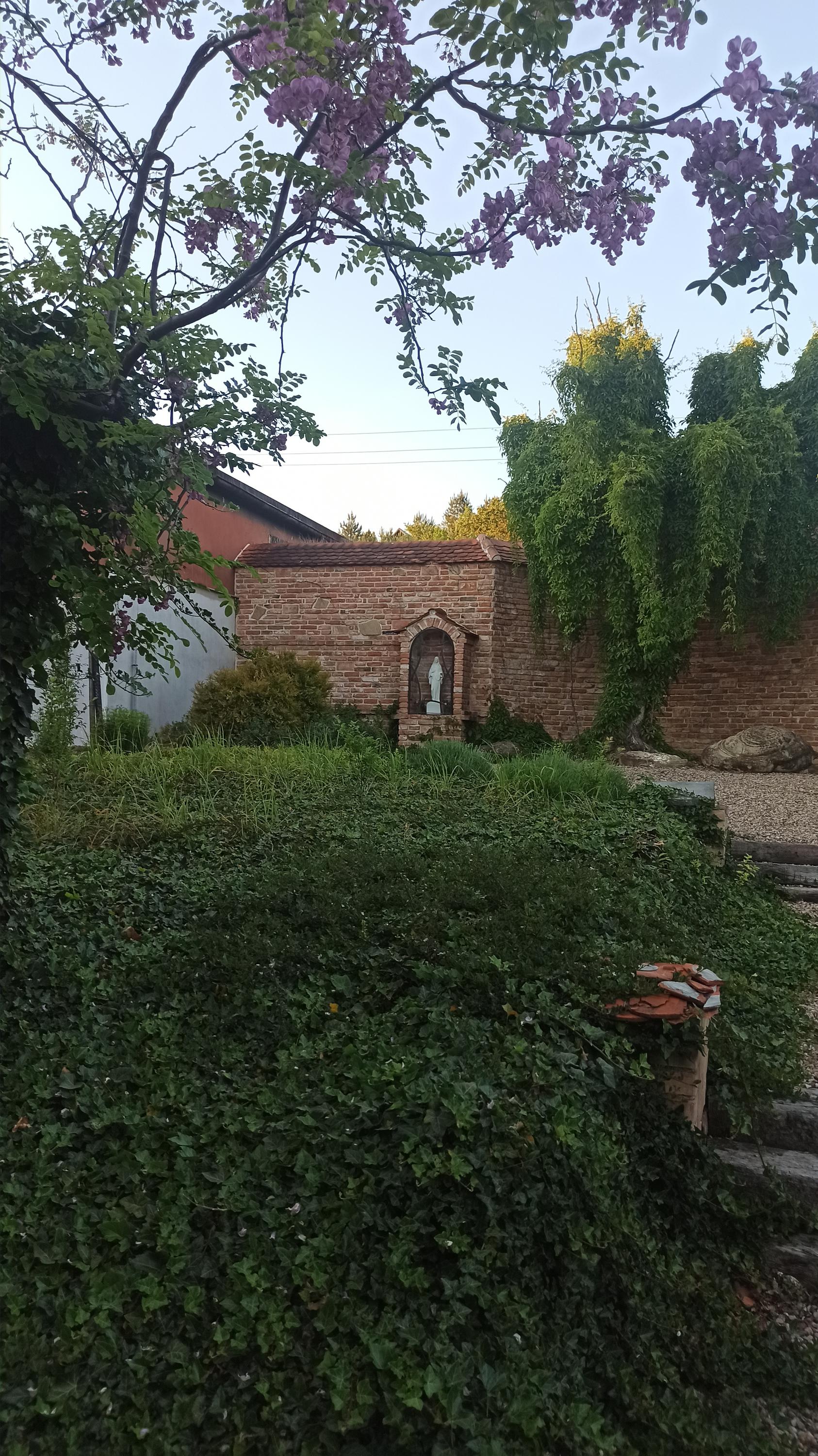 Vinařství Židek foto 6